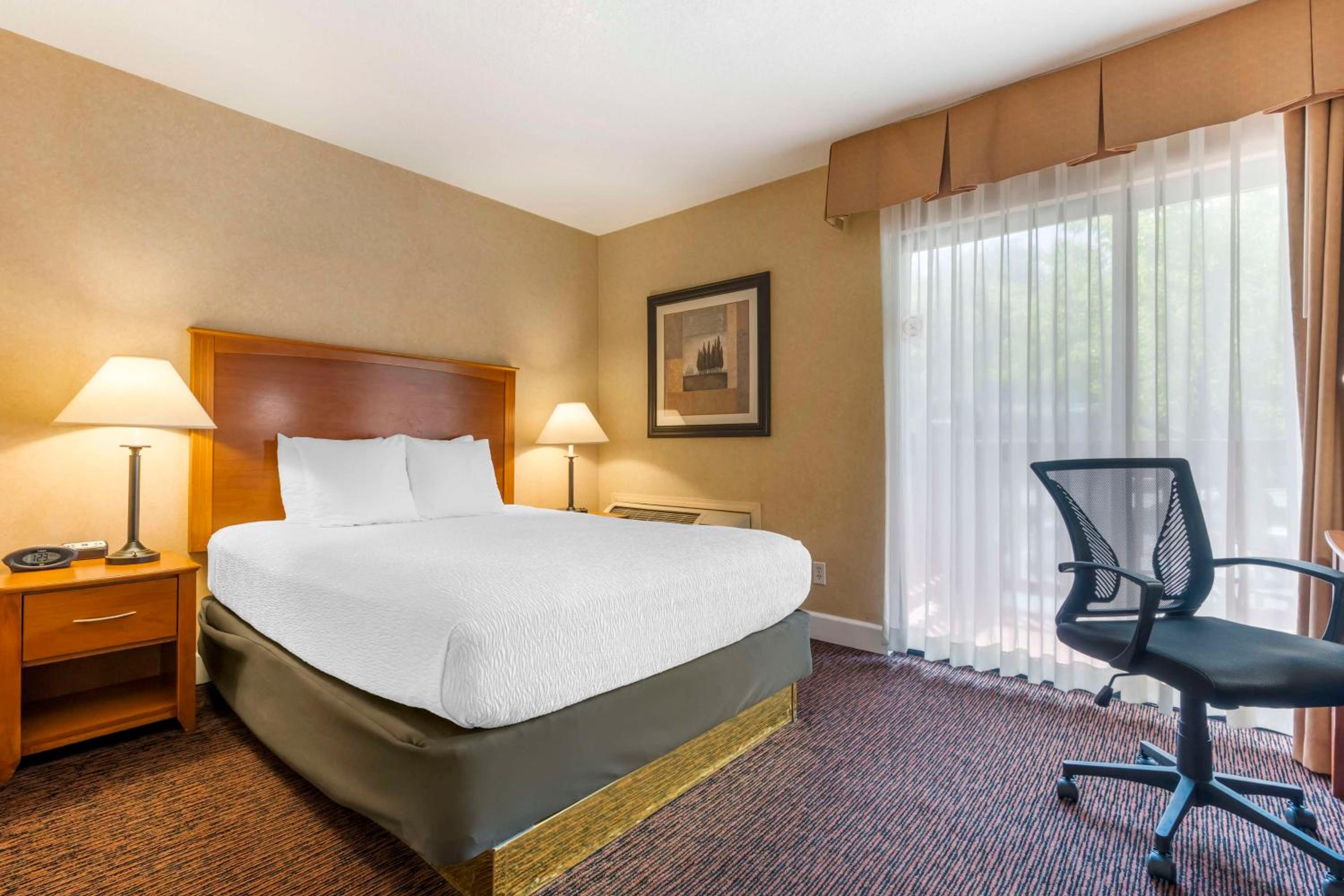 Mini Queen Suite with Sofa Bed - Non-Smoking - Photo 1