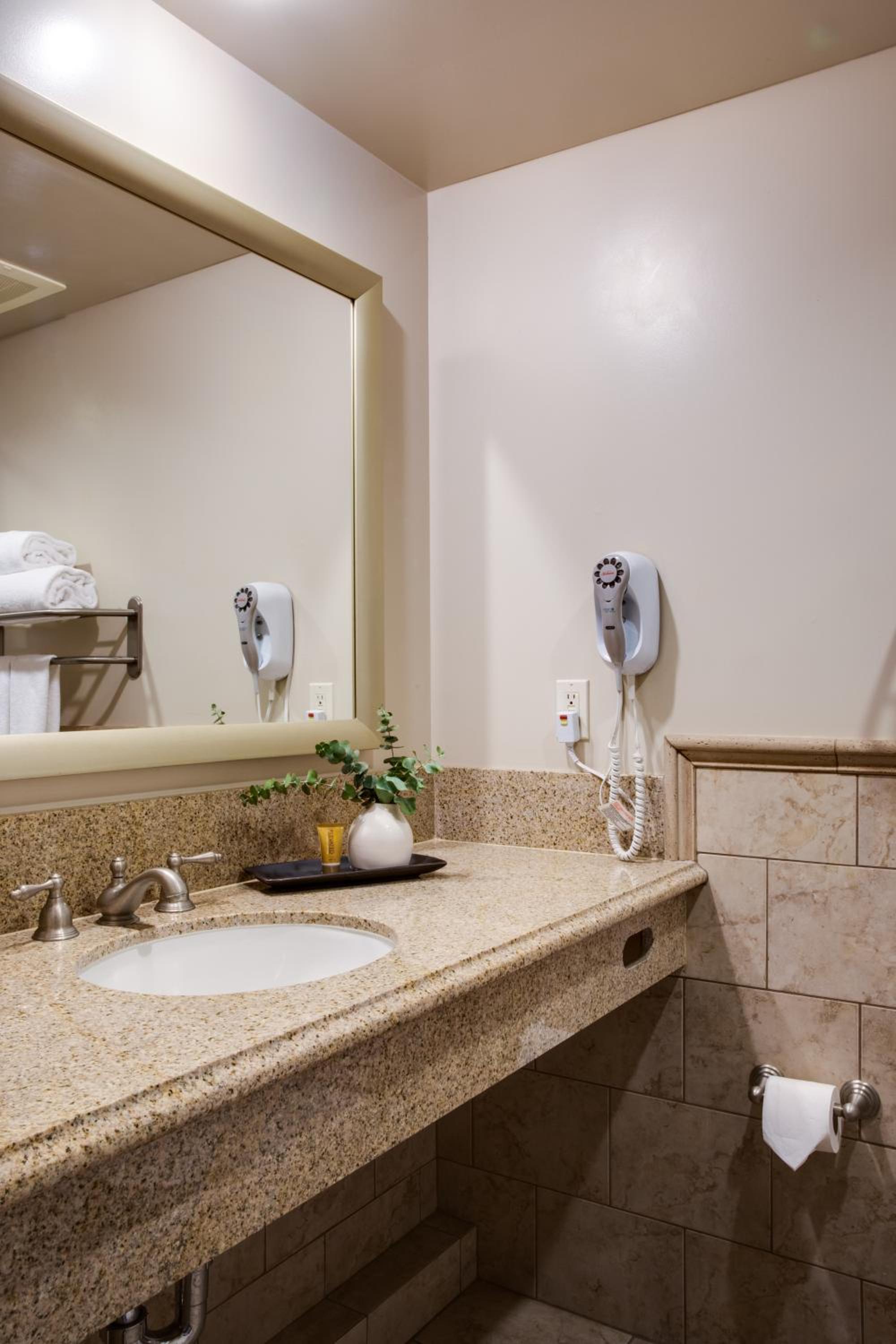 One-Bedroom King Suite - Photo 3