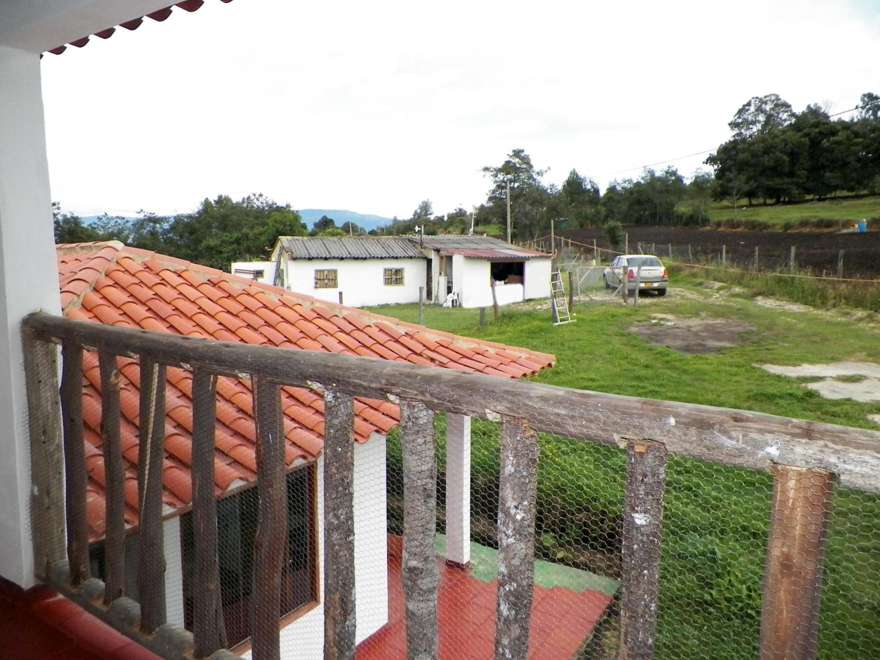 Four-Bedroom House photo 2