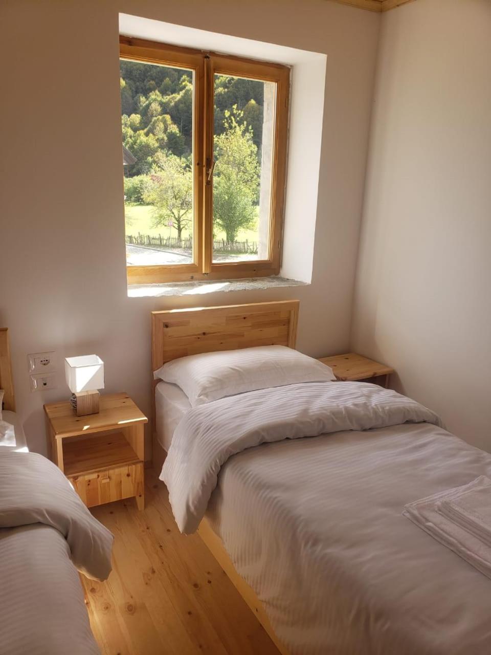 Double or Twin Room photo 2
