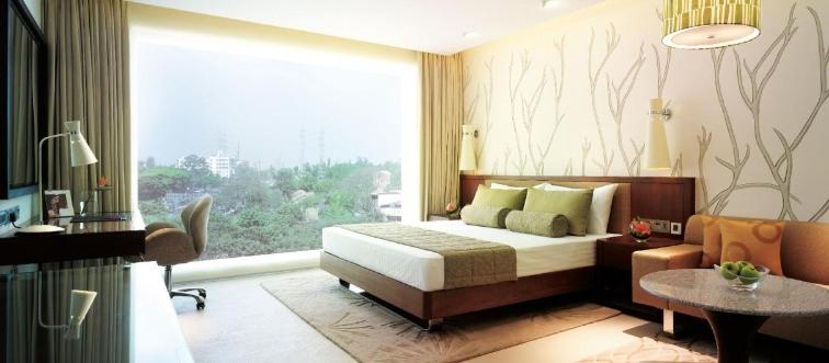 Deluxe King Room - Photo 3