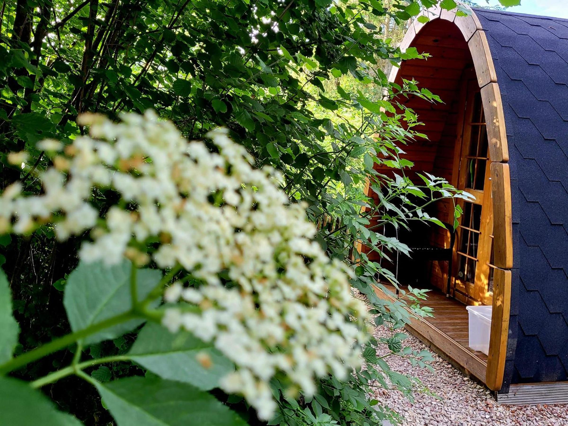 Bungalow with Garden View - Photo 13