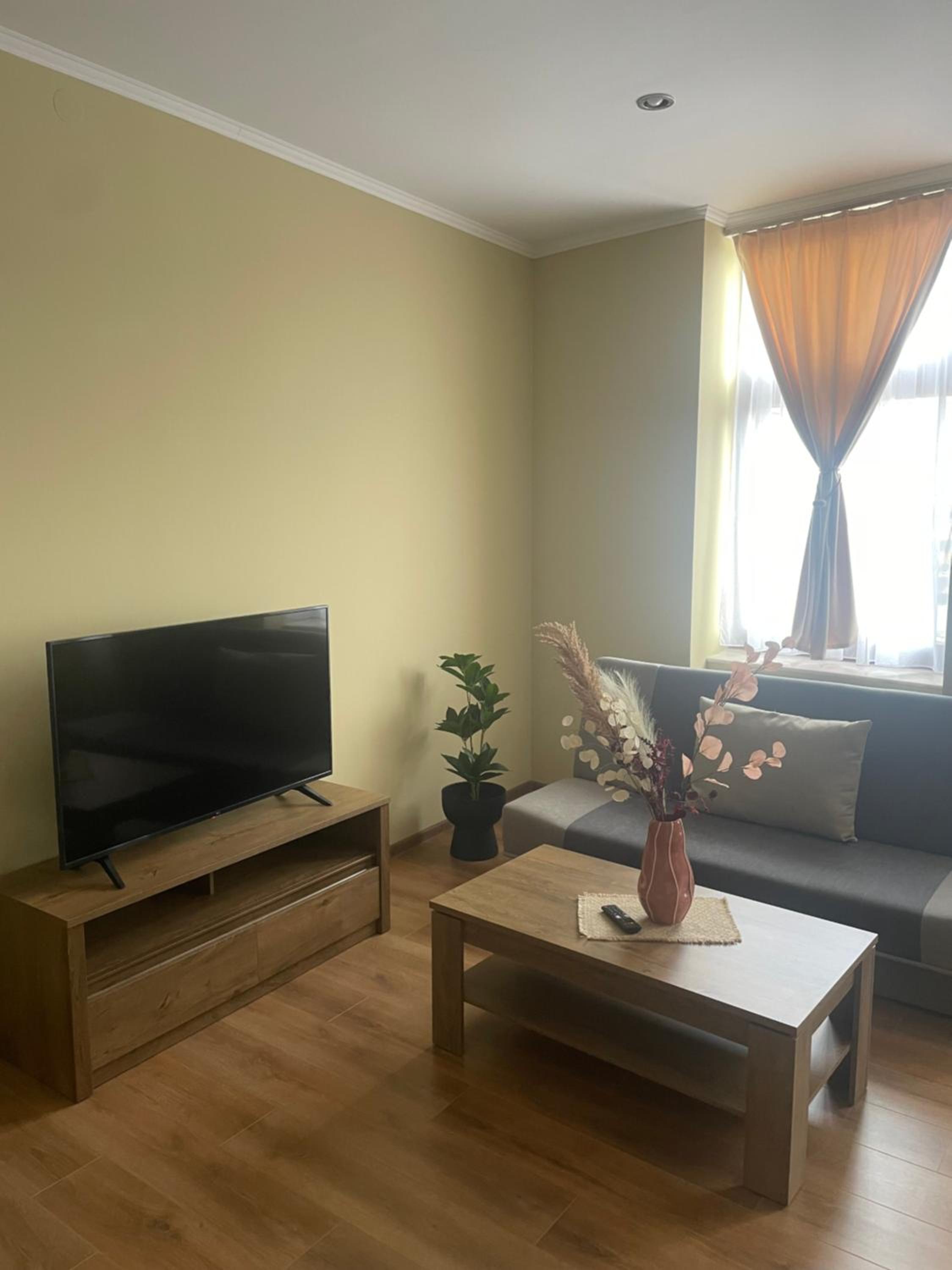 Deluxe Apartment photo 1