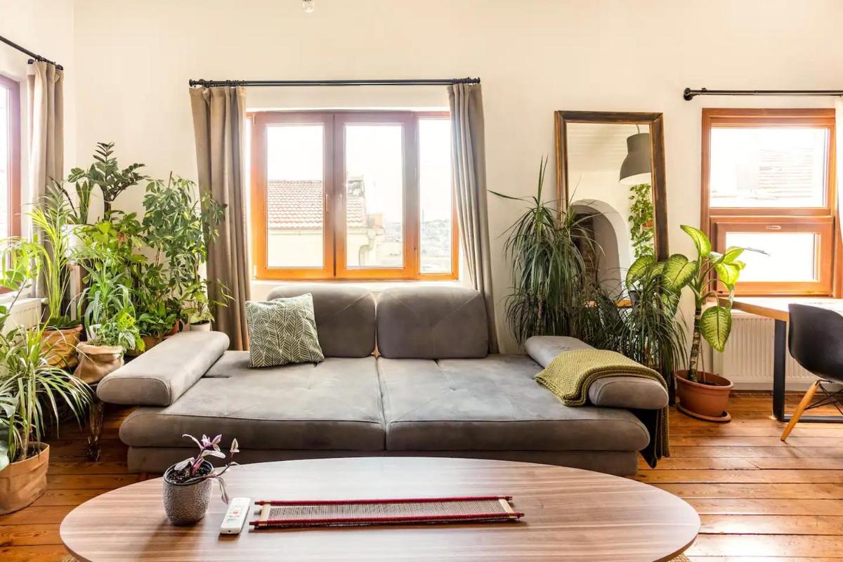 Apartment with Sea View photo 3