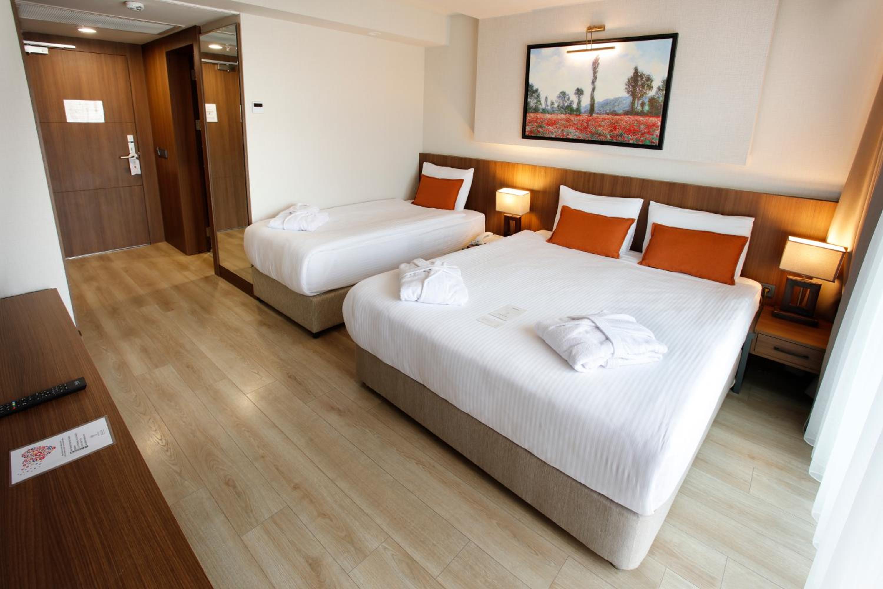 Deluxe Room - Photo 1
