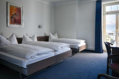 Triple Room with Lake View photo 2