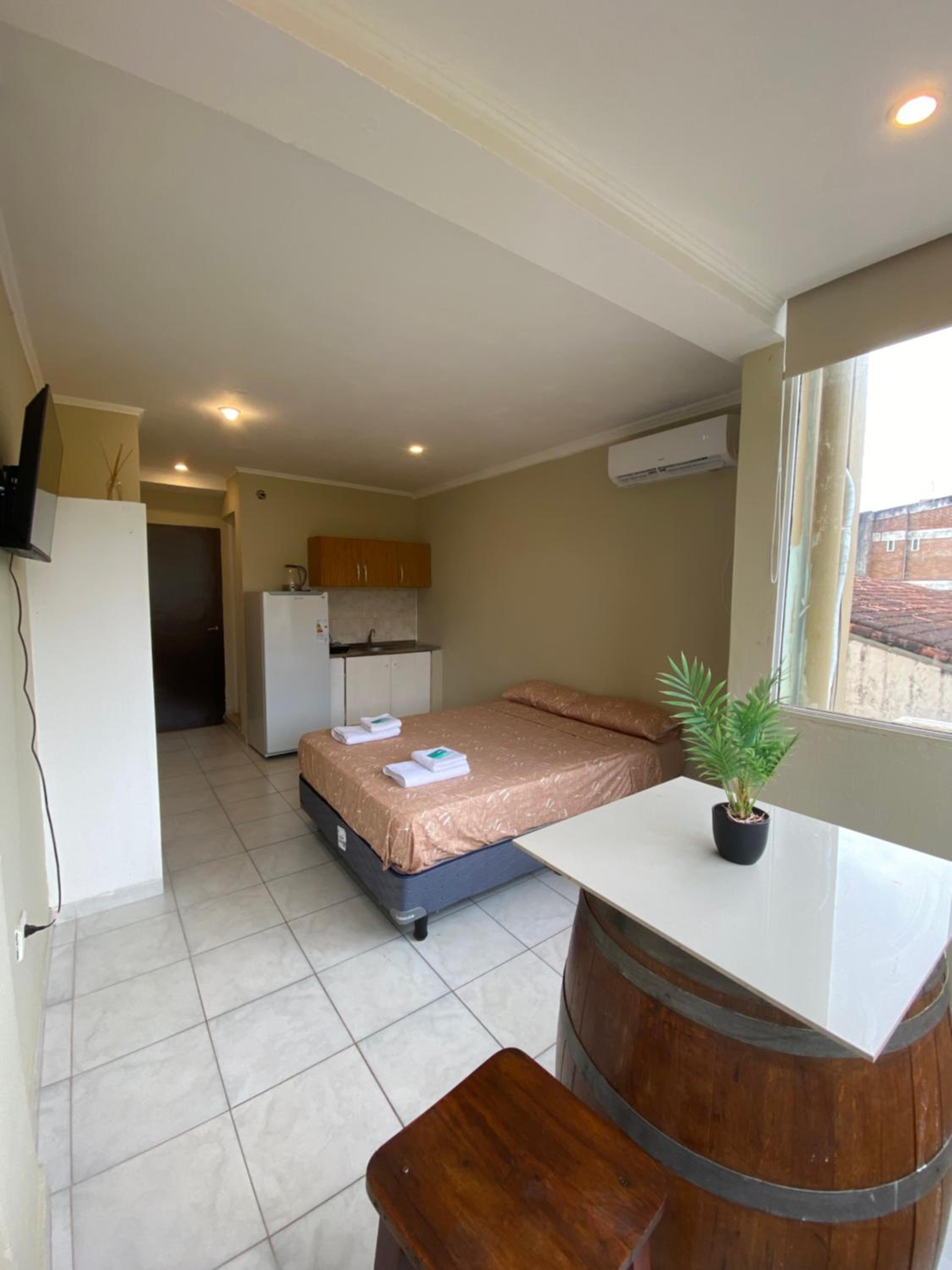 One-Bedroom Apartment photo 2