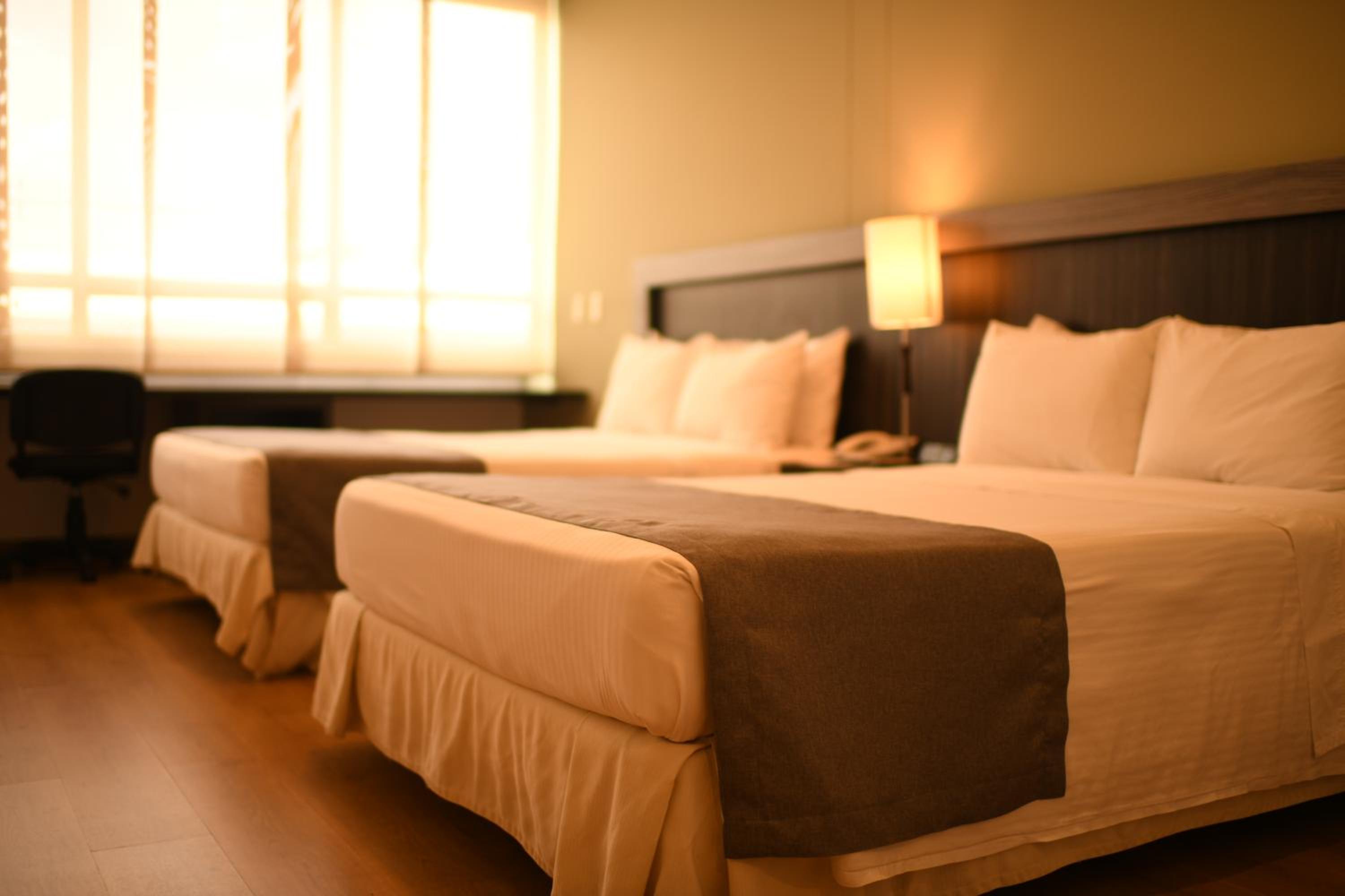 Double Room with Two Double Beds - Photo 6