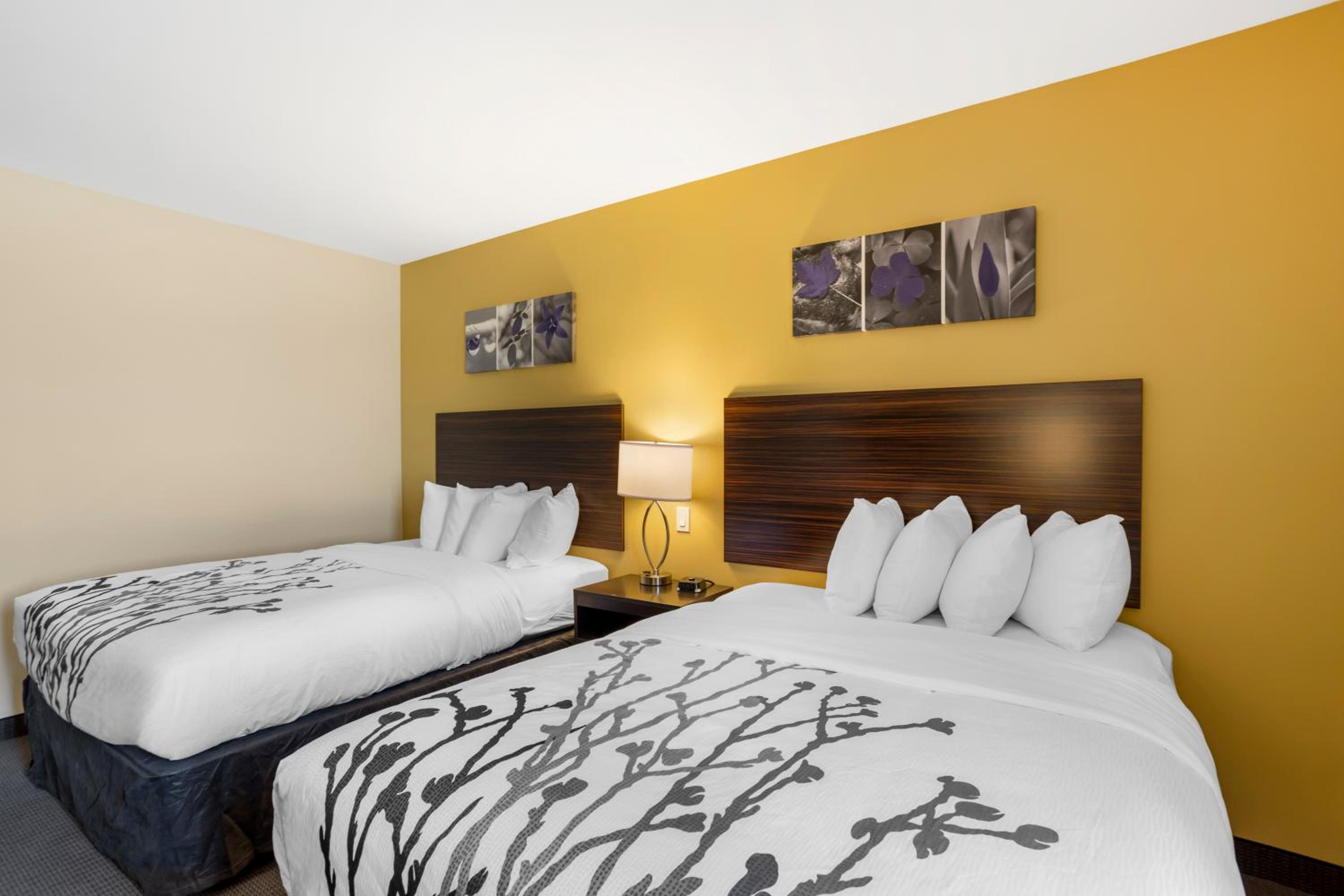 Quadruple Room with Two Queen Beds - Disability Access/Non Smoking - Photo 1