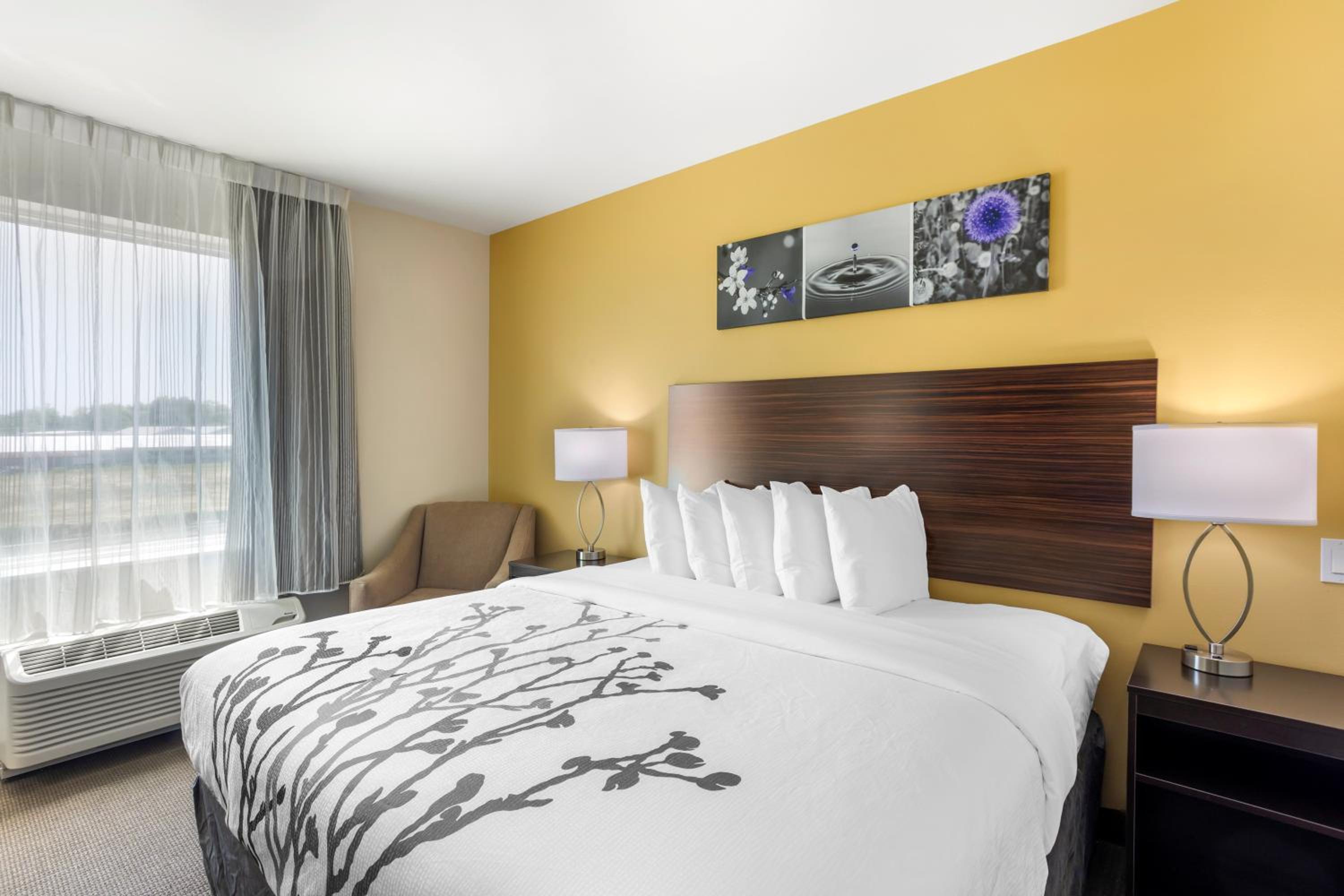 King Room - Non Smoking - Photo 4