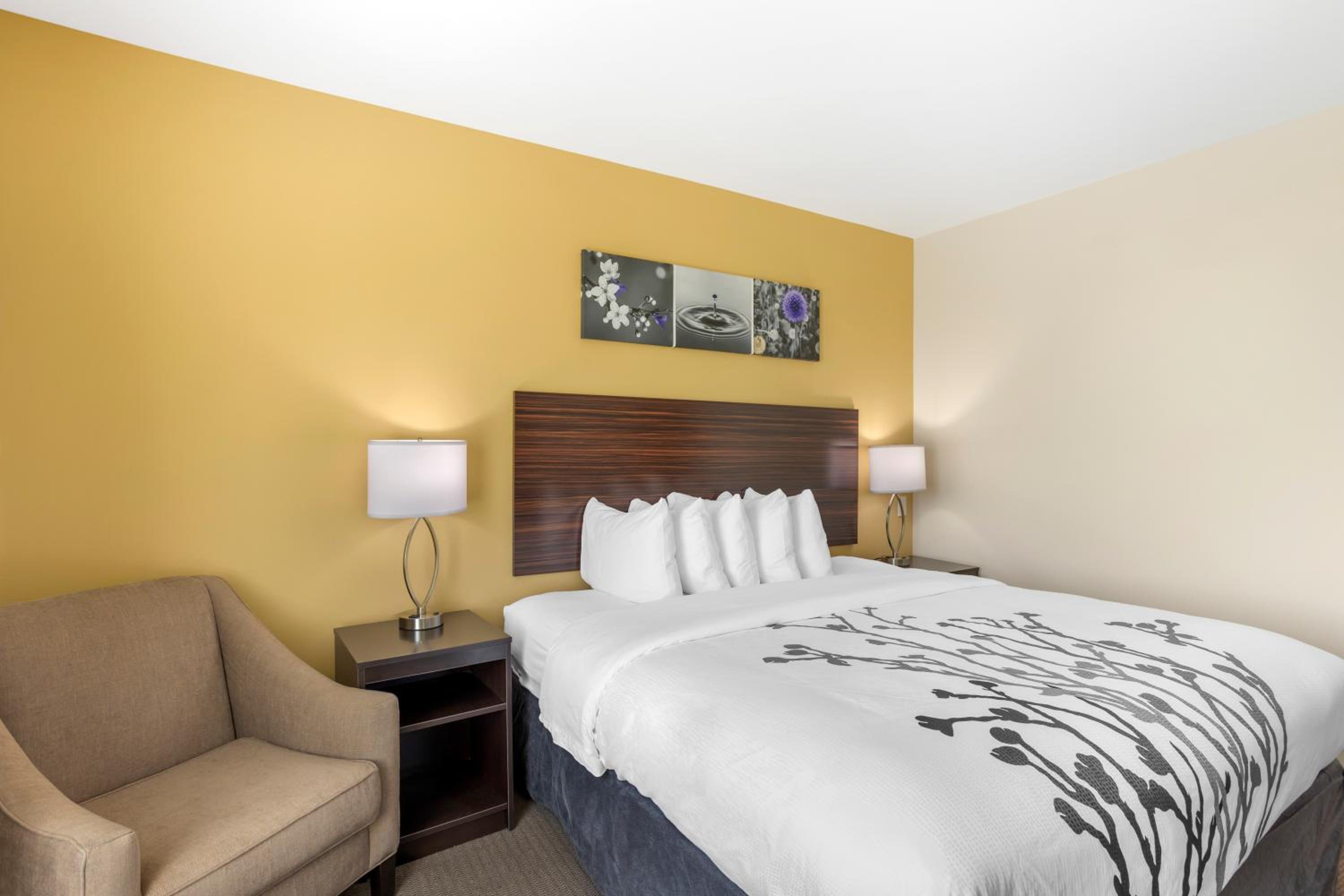 King Room - Non Smoking - Photo 3