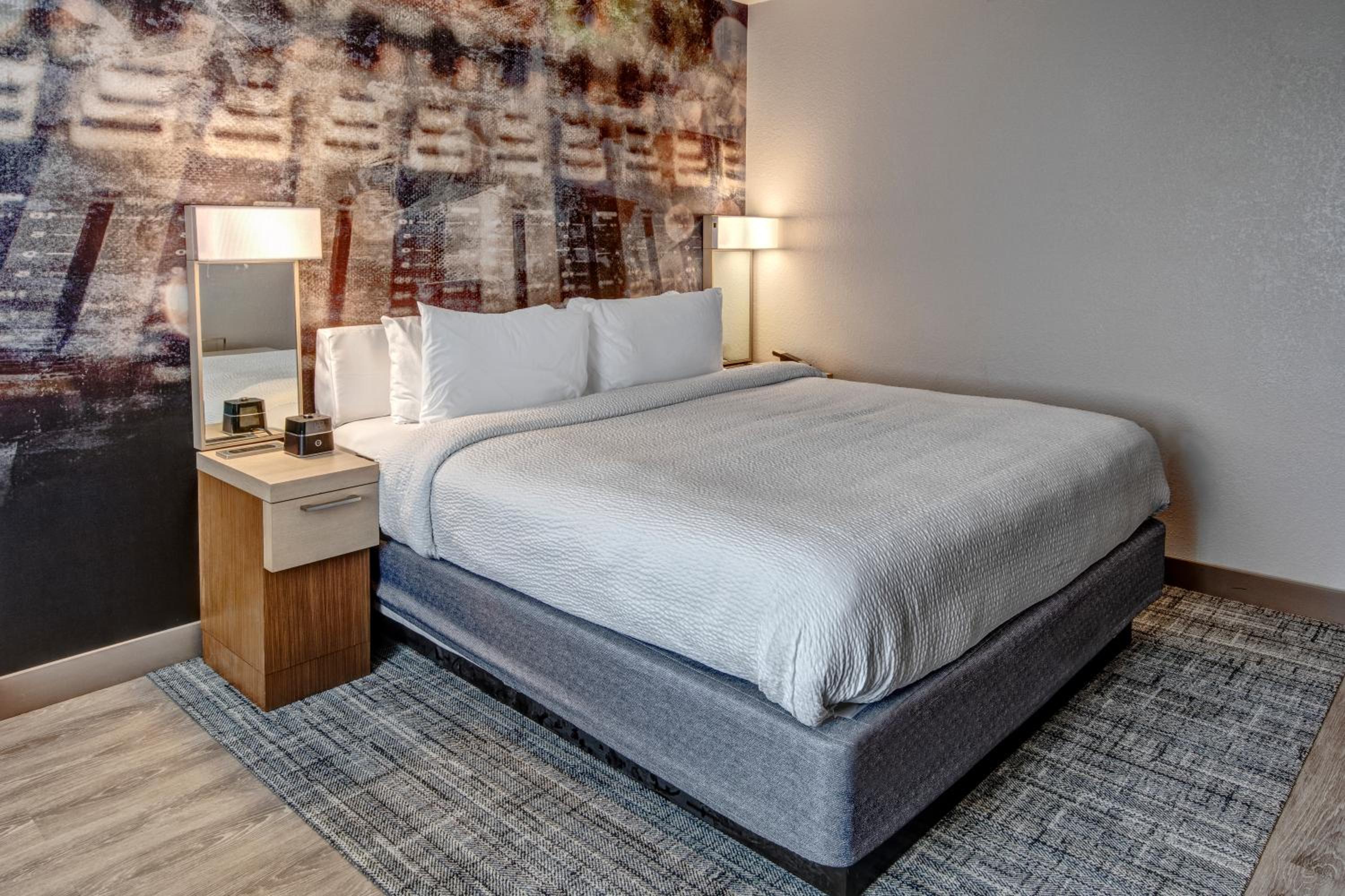 King Room with Sofa Bed - Hearing Accessible
