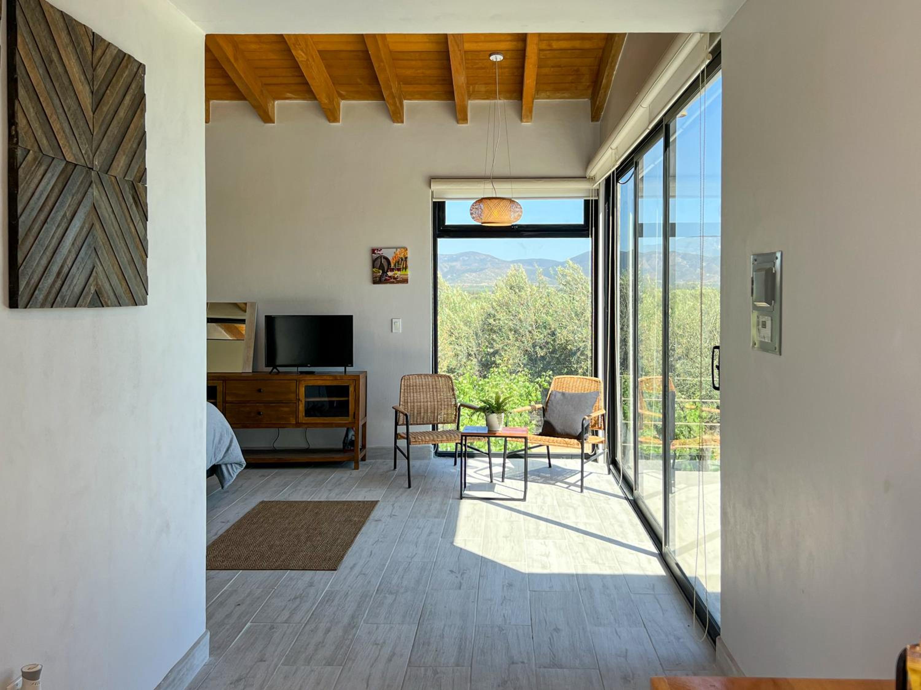 Deluxe King Suite - Photo 11