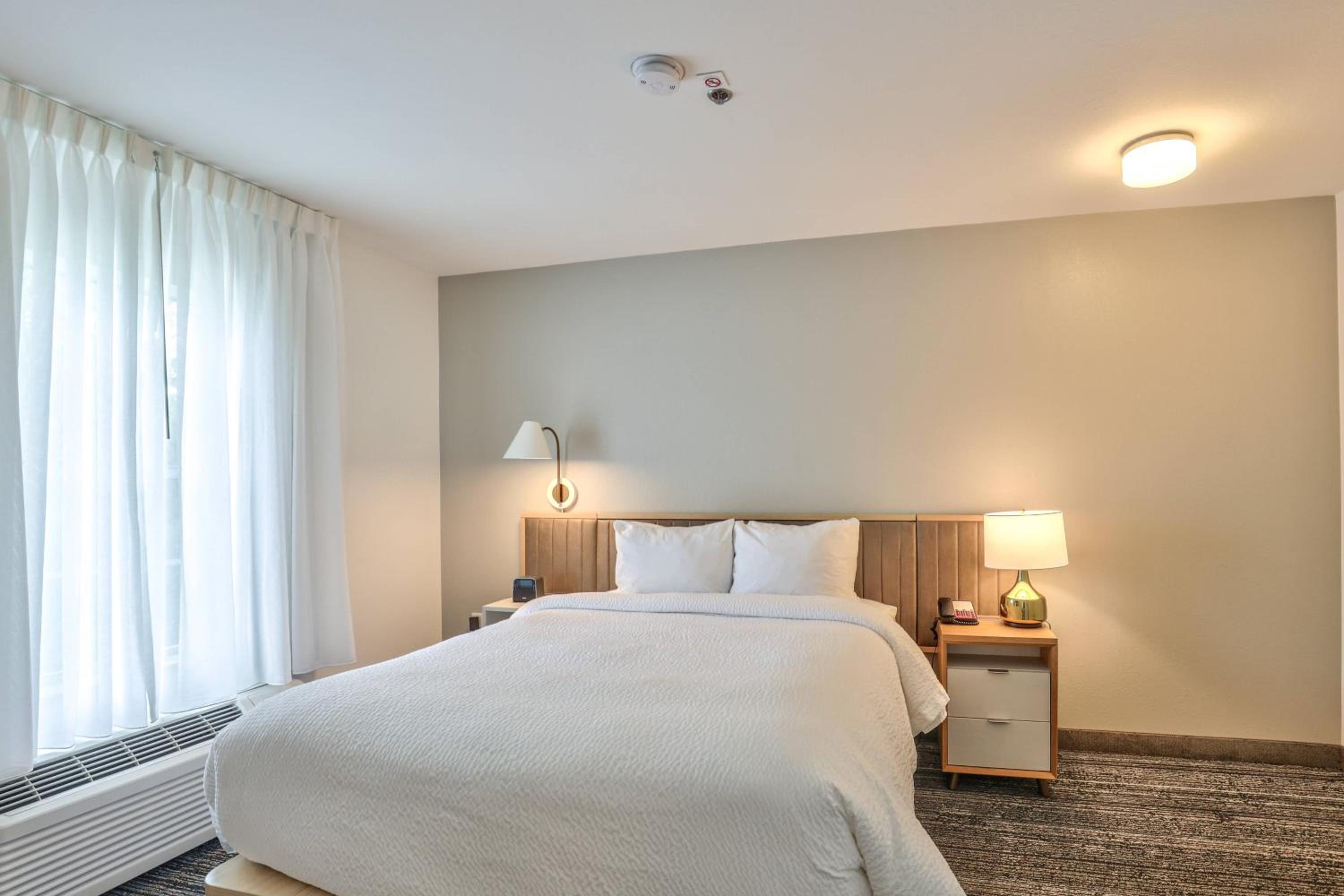 One-Bedroom Queen Suite With Sofa Bed