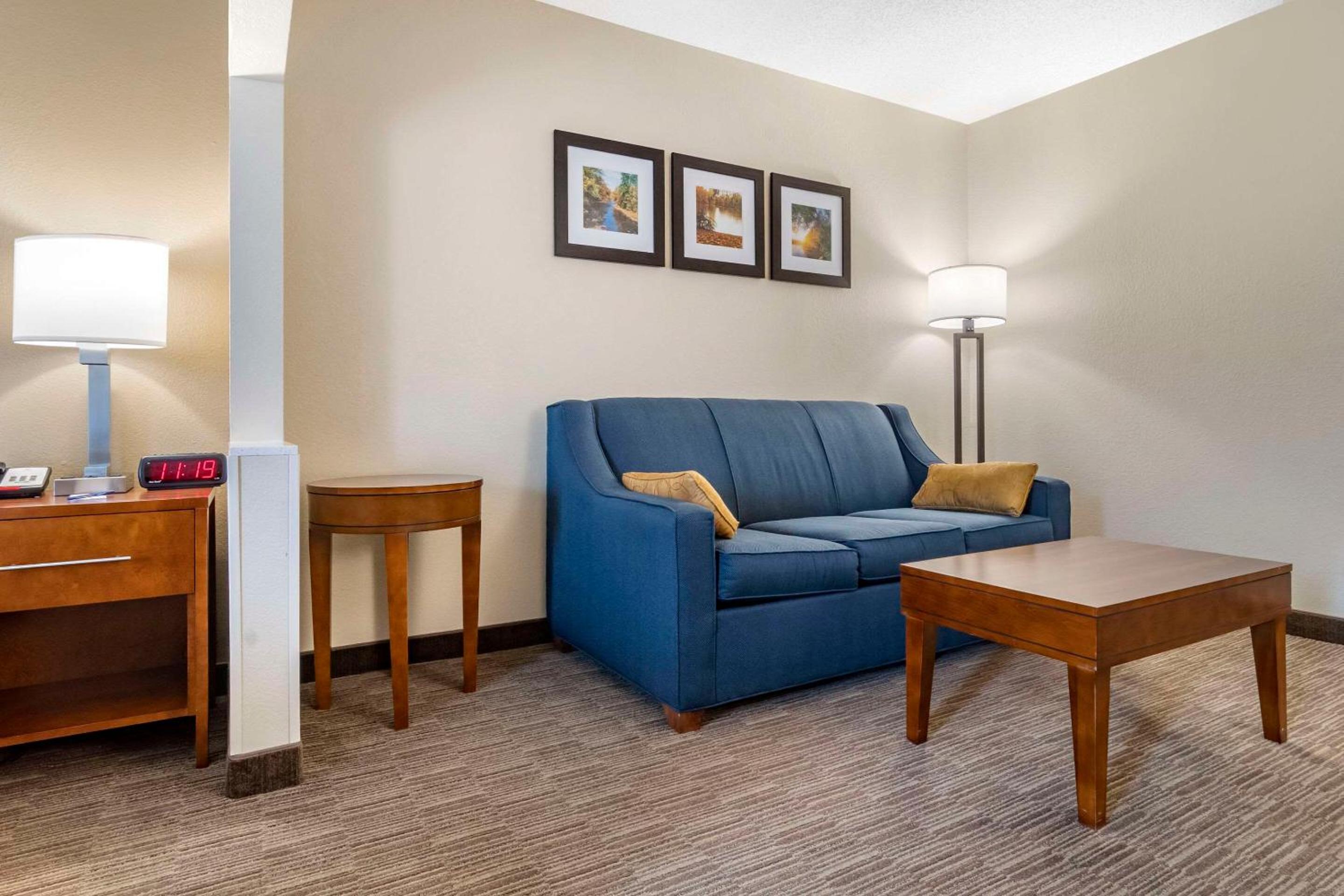 King Suite with Sofa Bed - Non-Smoking - Photo 4
