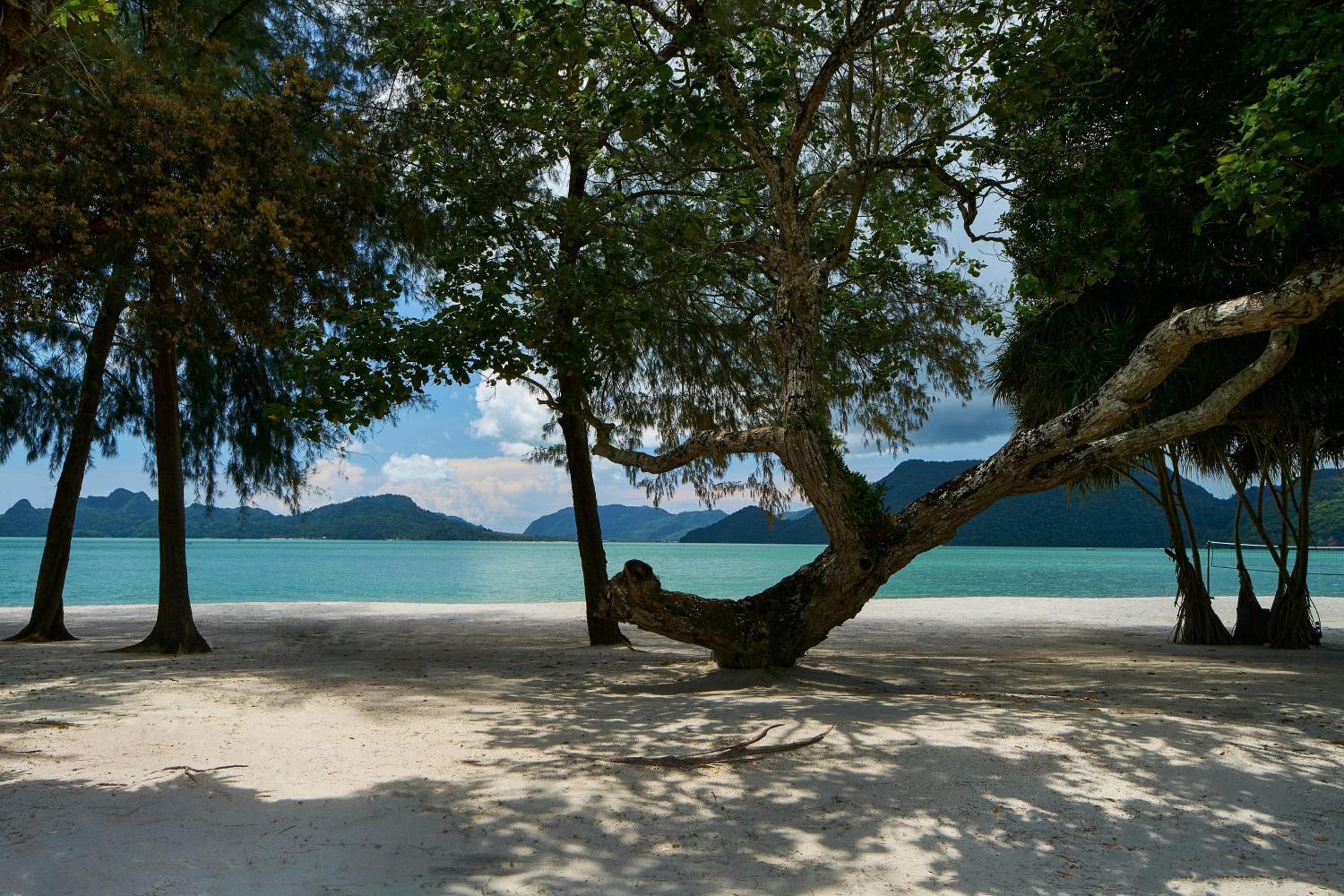 One-Bedroom King Villa with Private Pool - Beachfront - Photo 2