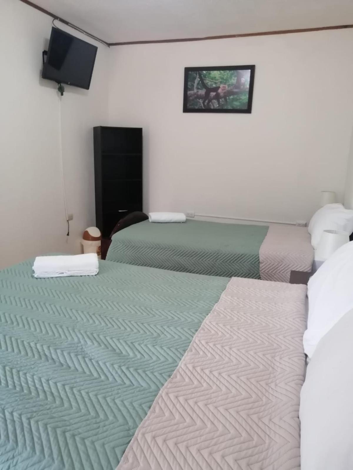 Triple Room photo 1