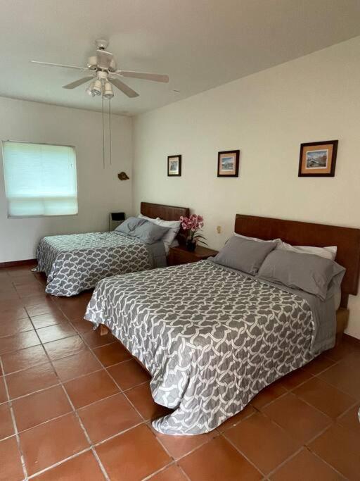 Four-Bedroom House photo 2
