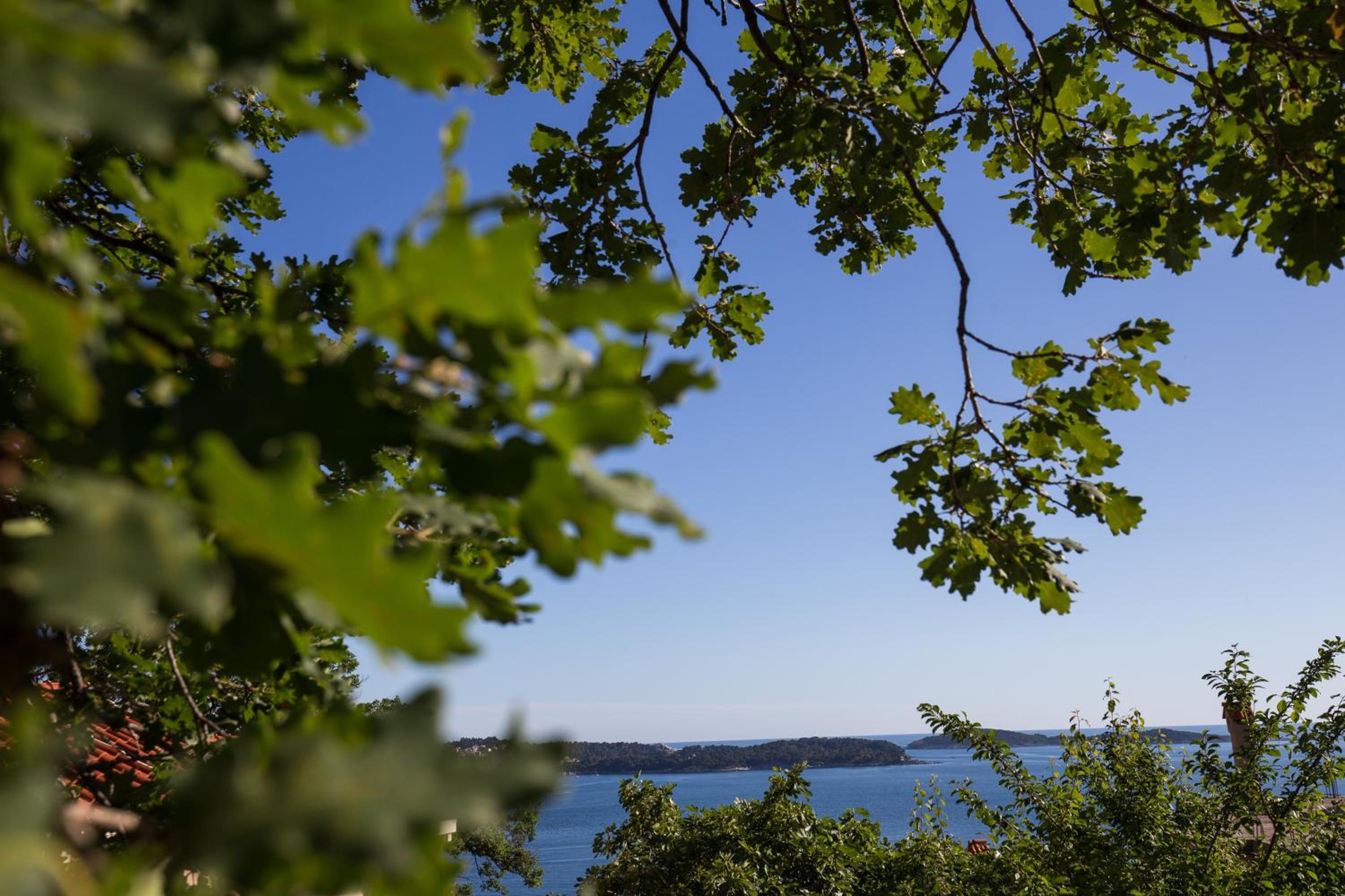 Premium Studio Apartment with Balcony and Sea View  photo 2