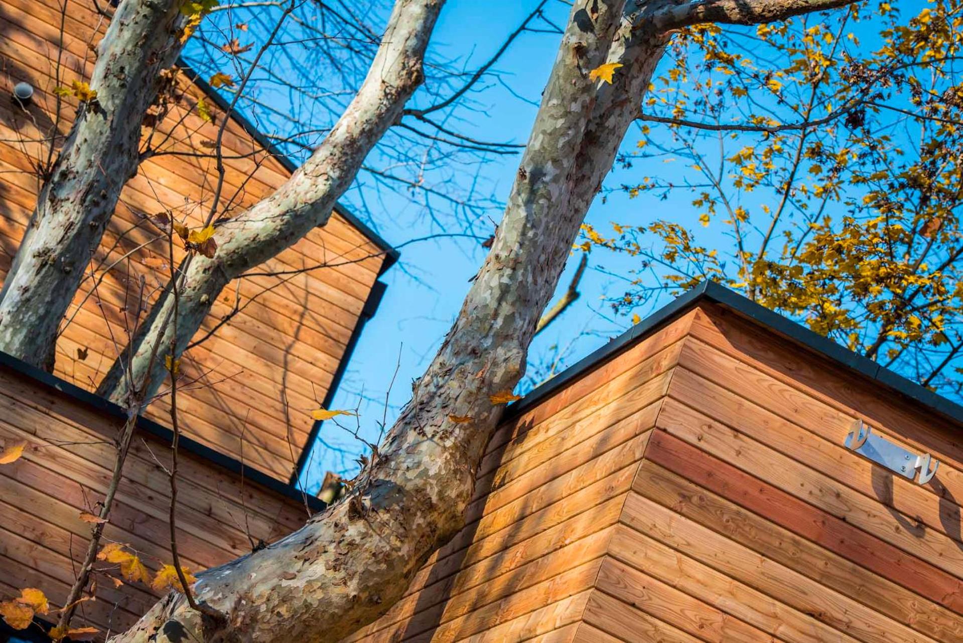 Chalet Oliveto - Photo 10