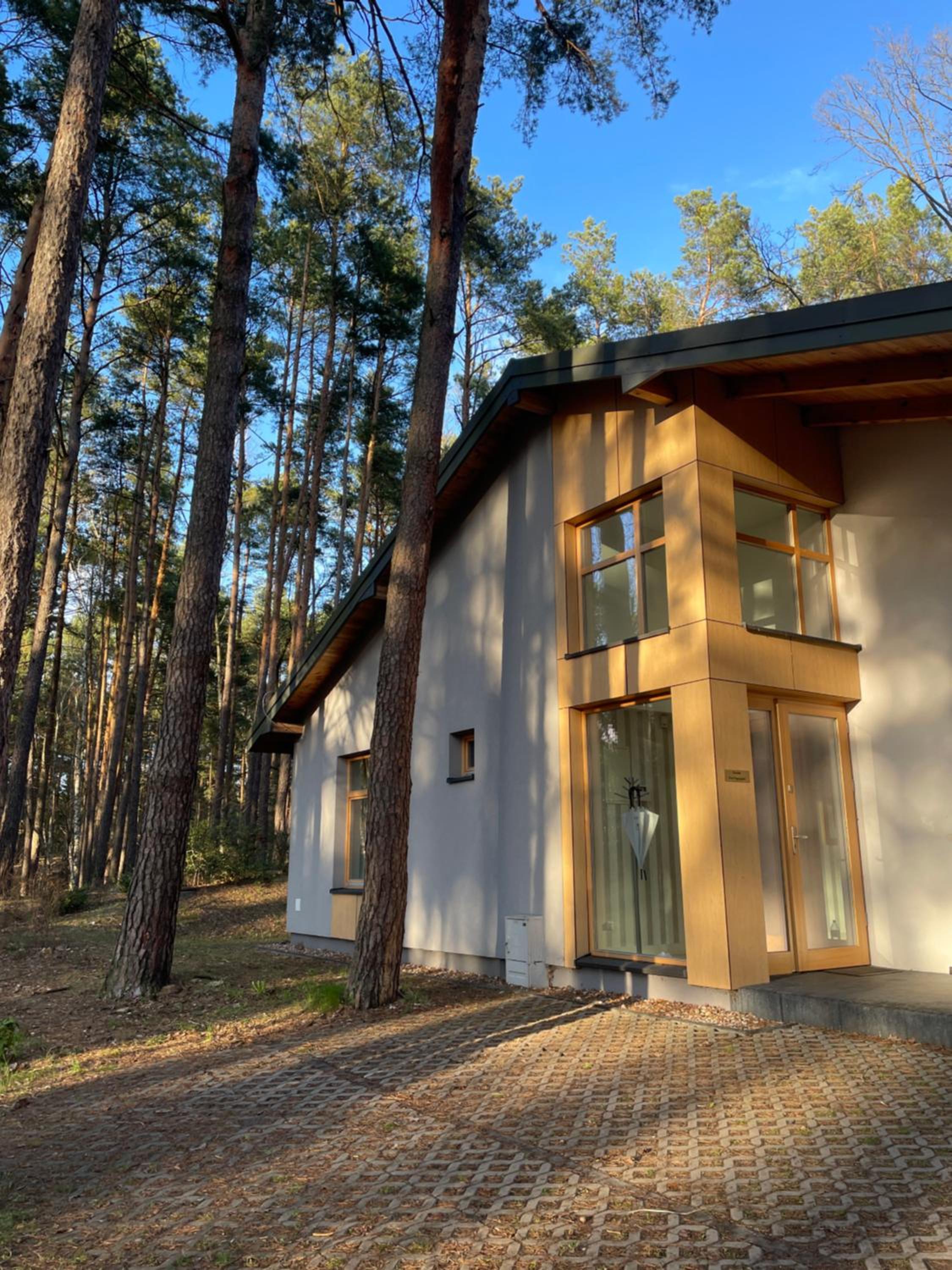 Three-Bedroom Chalet photo 2