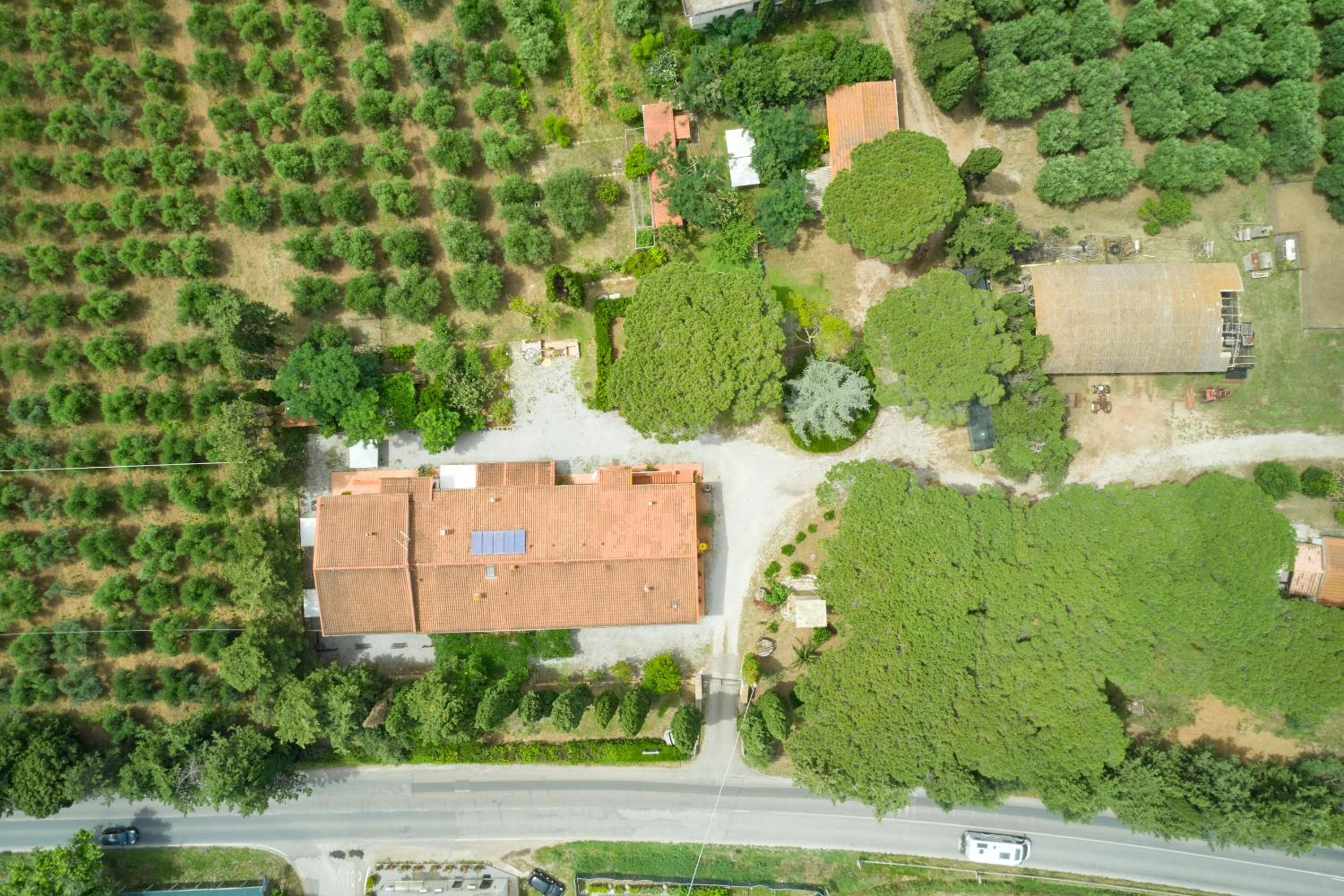 One-Bedroom Apartment with Garden View photo 2