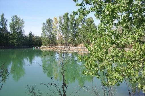 Holiday Home photo 3