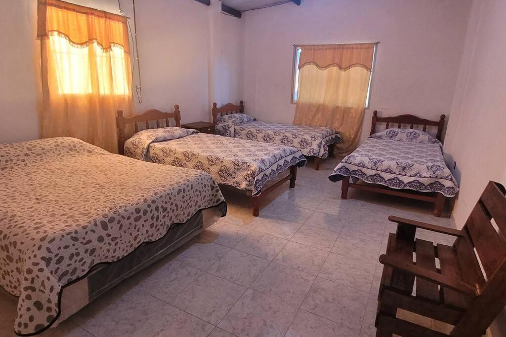 Three-Bedroom House photo 1