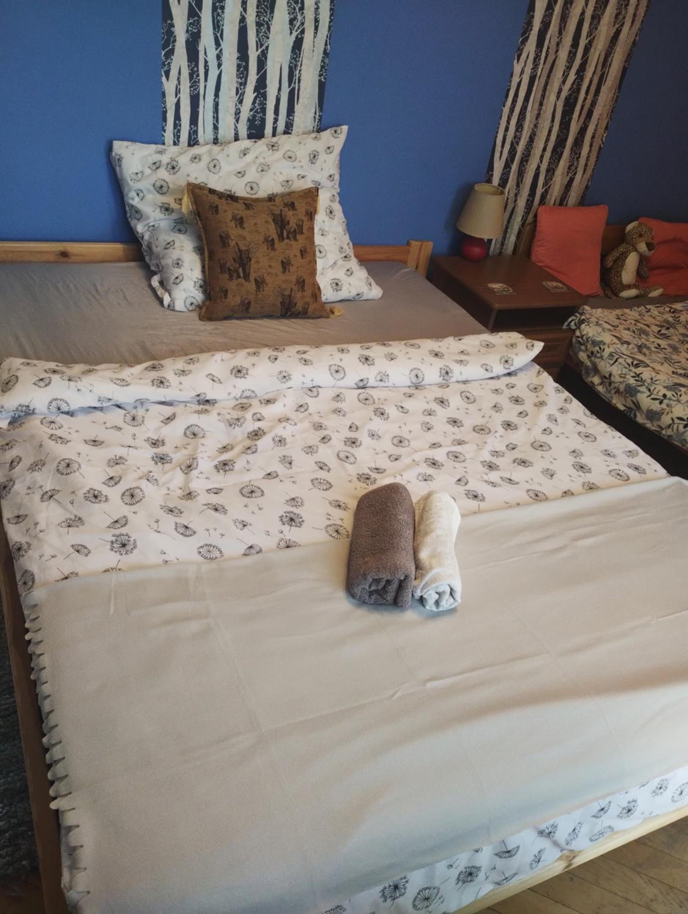 Triple Room with Mountain View photo 1
