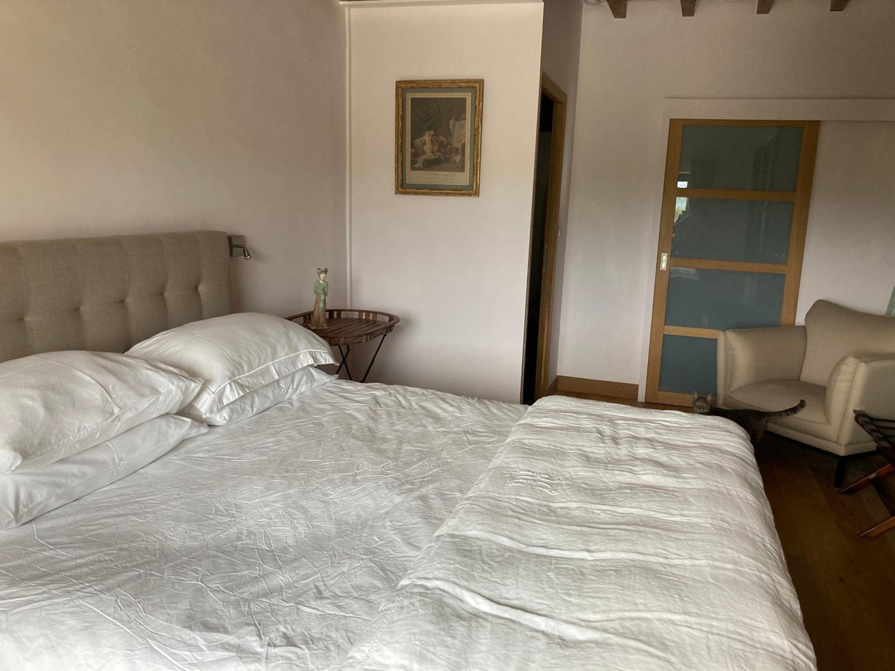 Double Room with Pool View photo 2