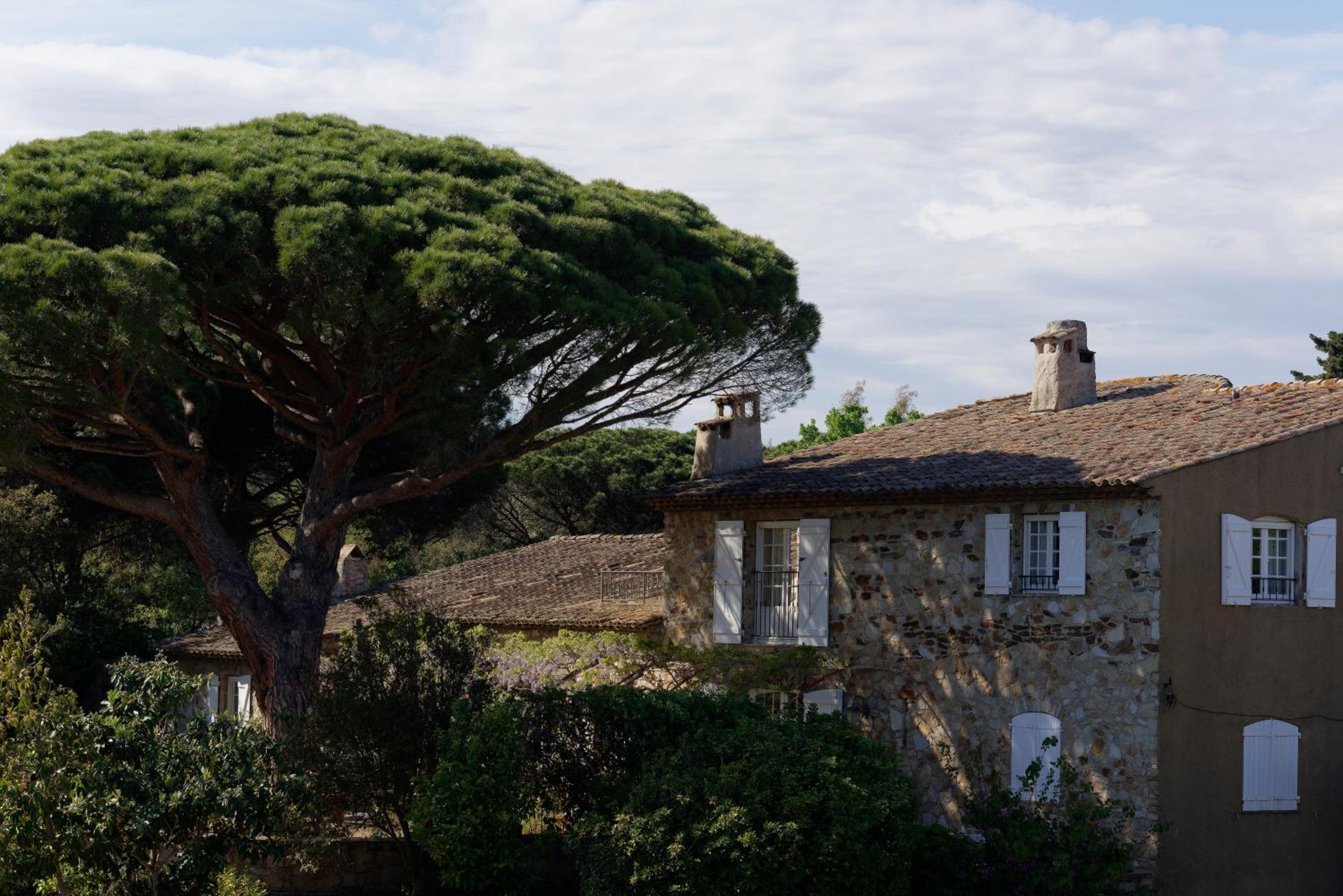 Suite Supérieure avec Terrasse et Vue sur la Mer