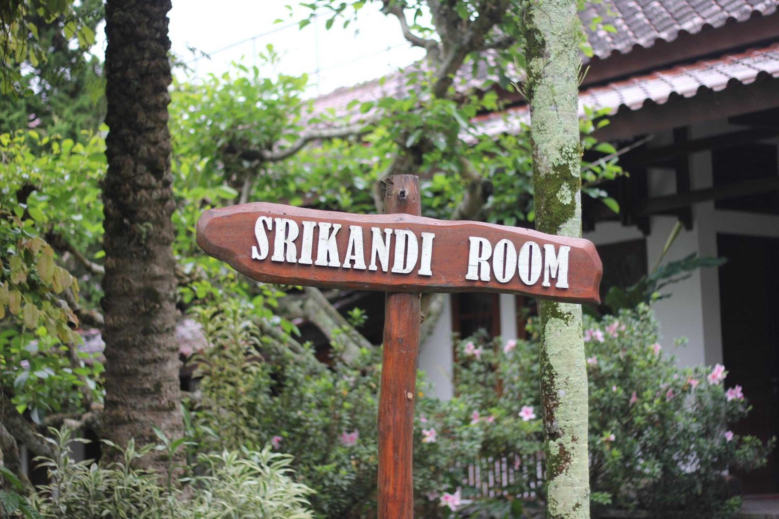 Standard Double or Twin Room photo 3