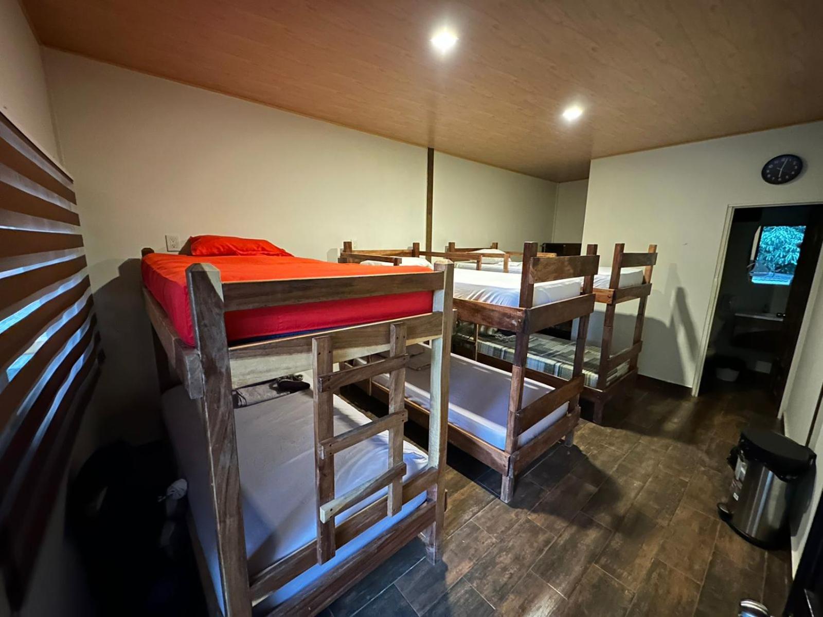 Bunk Bed in Mixed Dormitory Room photo 2