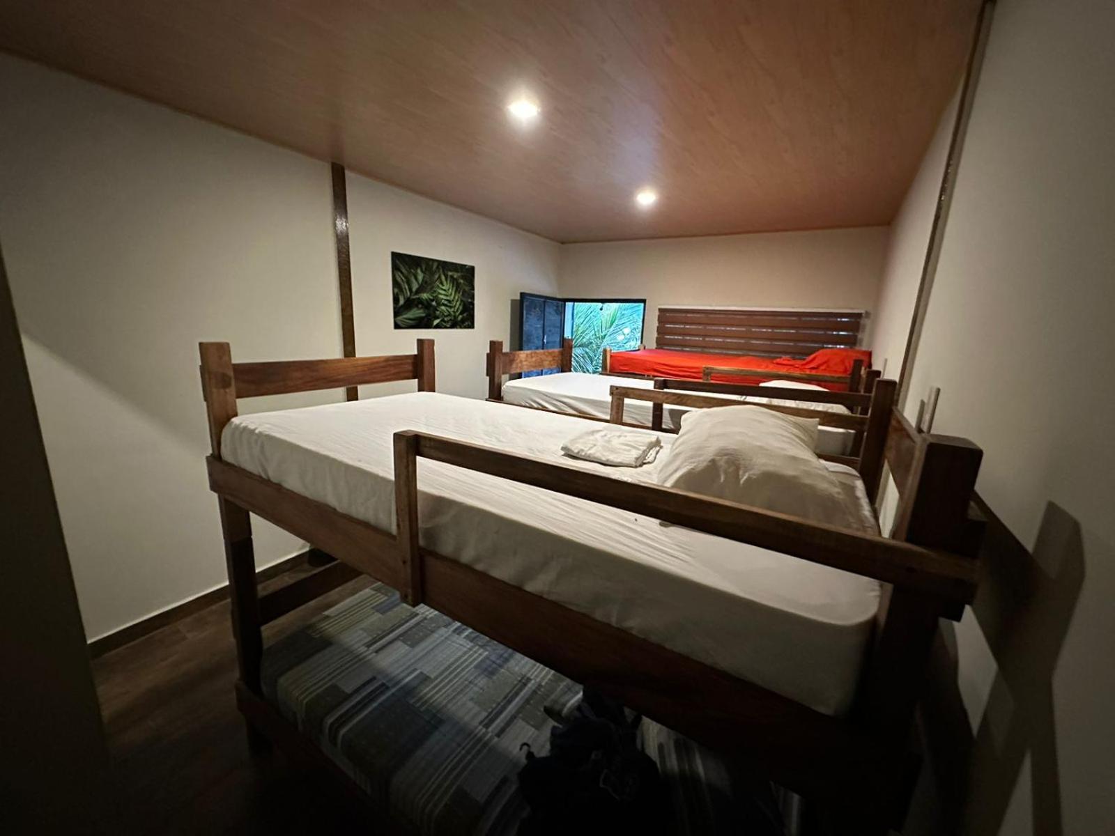 Bunk Bed in Mixed Dormitory Room photo 3