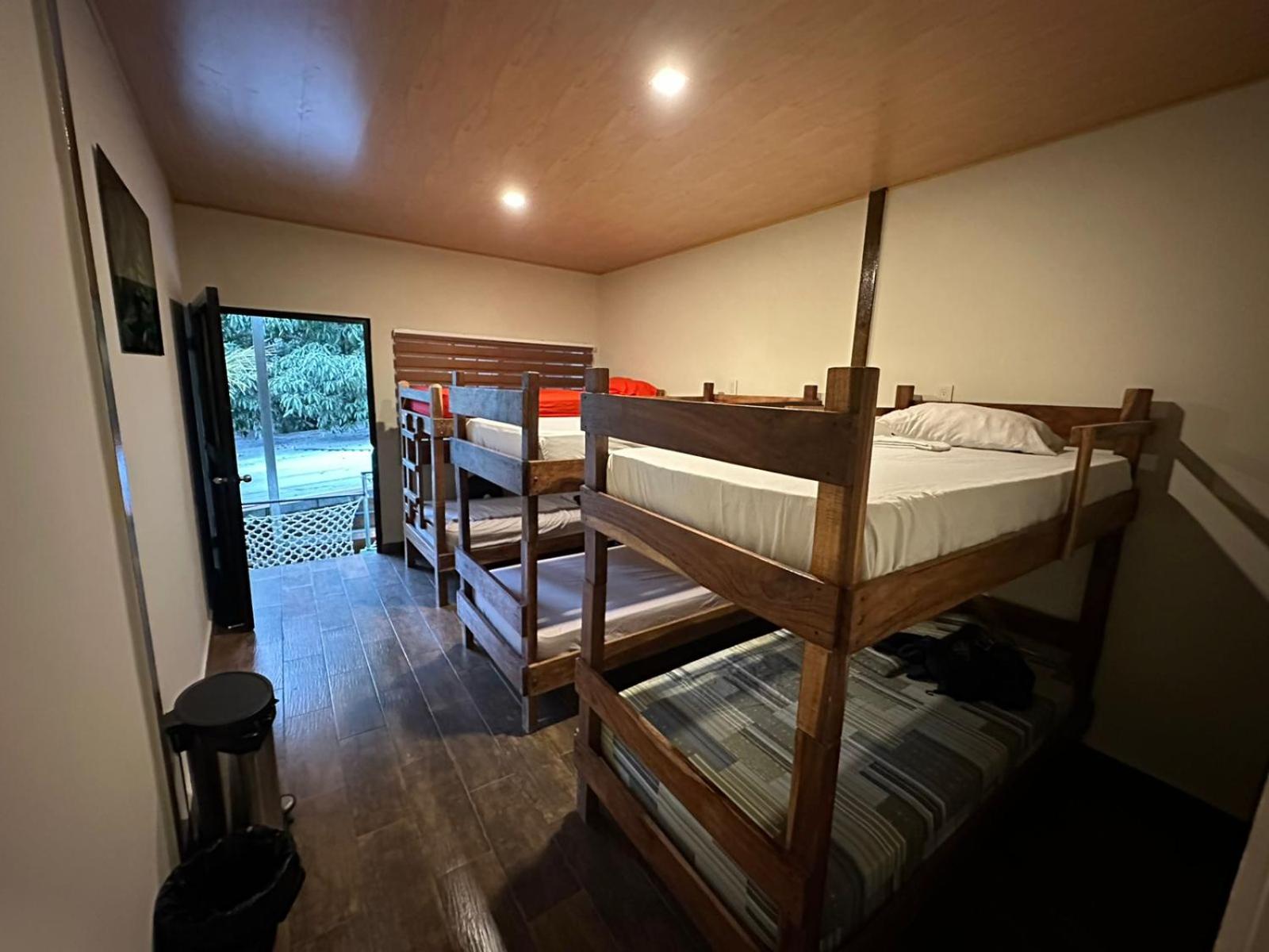 Bunk Bed in Mixed Dormitory Room photo 1