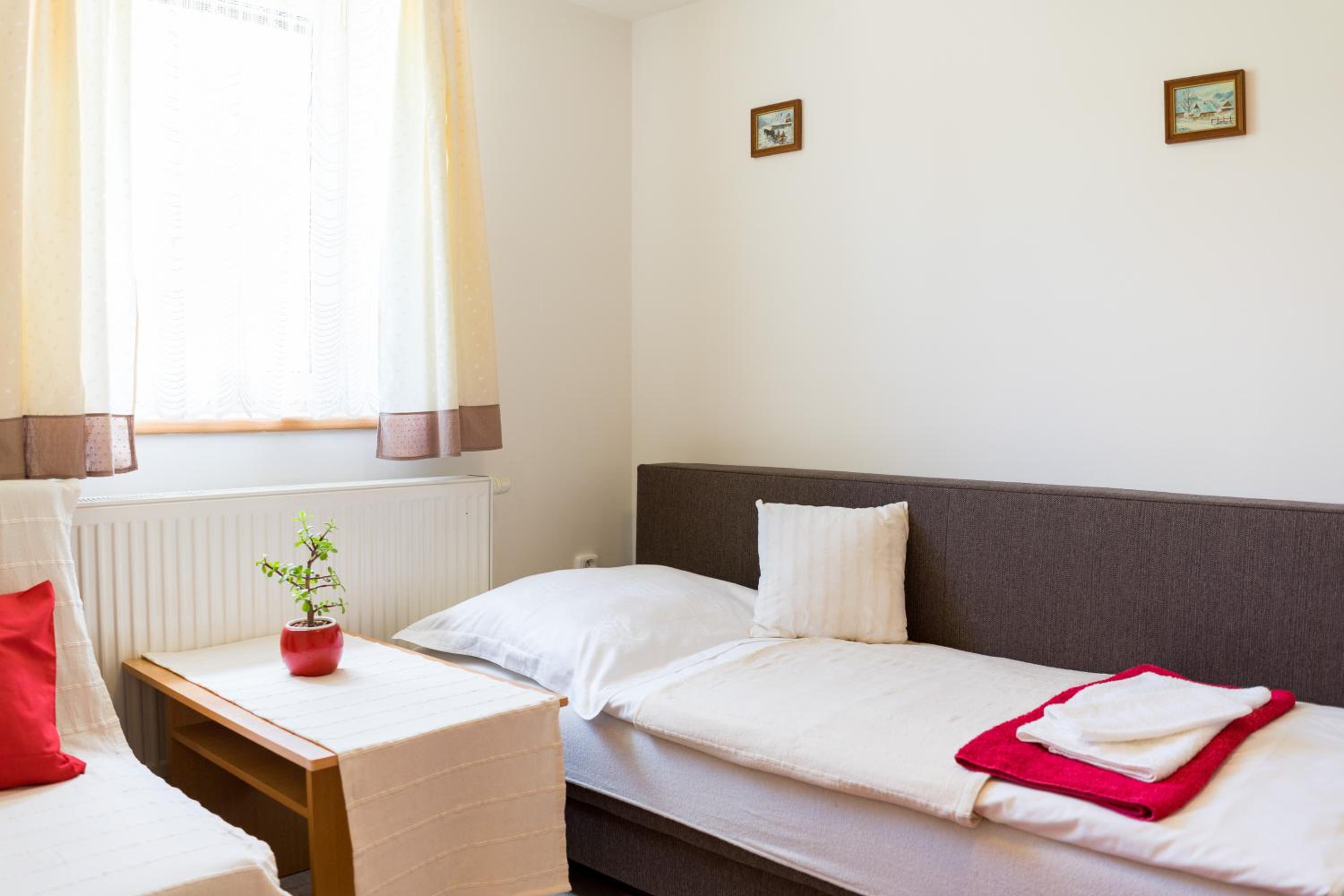 Single Room photo 1