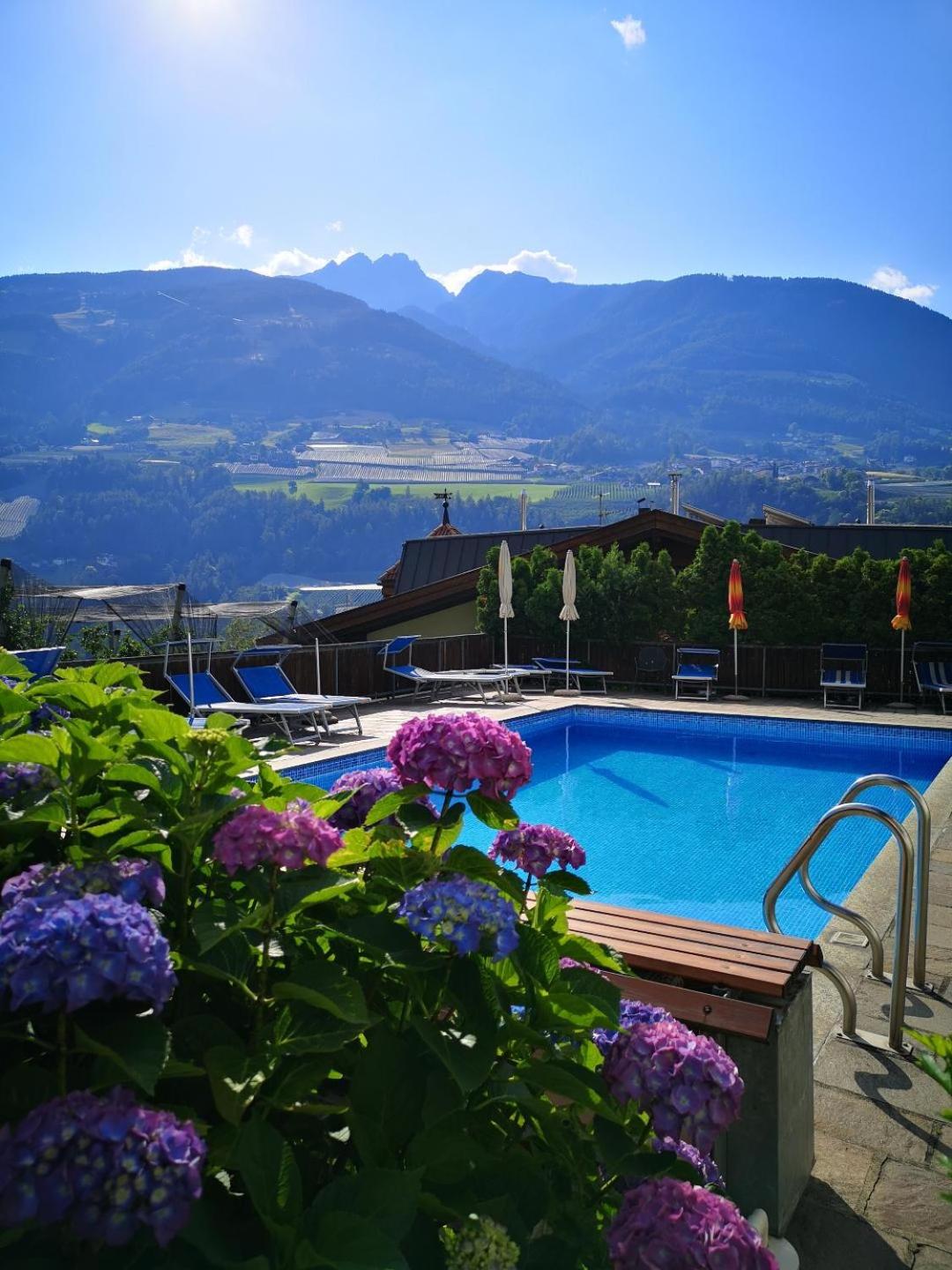 Superior One-Bedroom Apartment With Balcony photo 2