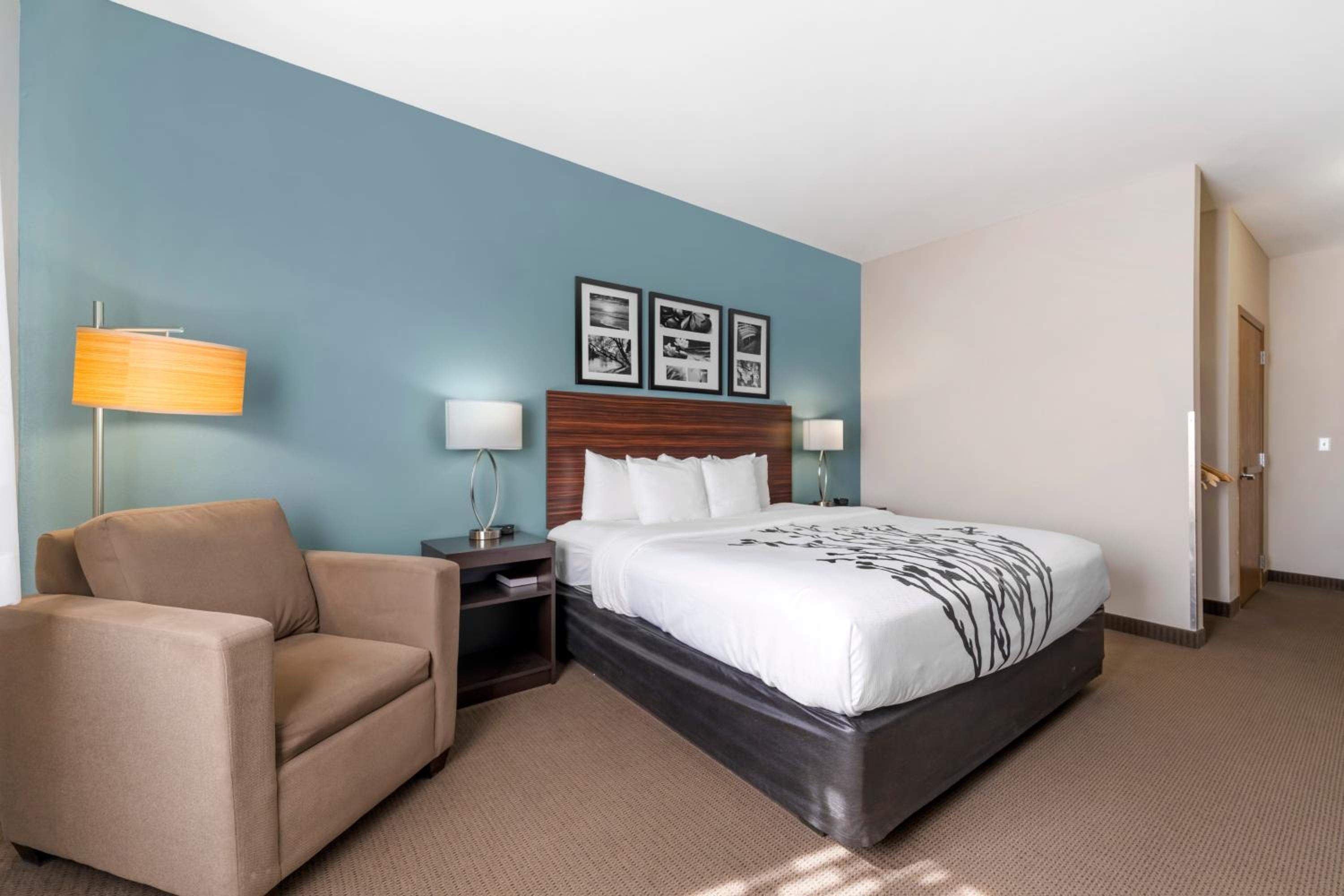 King Room - Non-Smoking - Photo 8