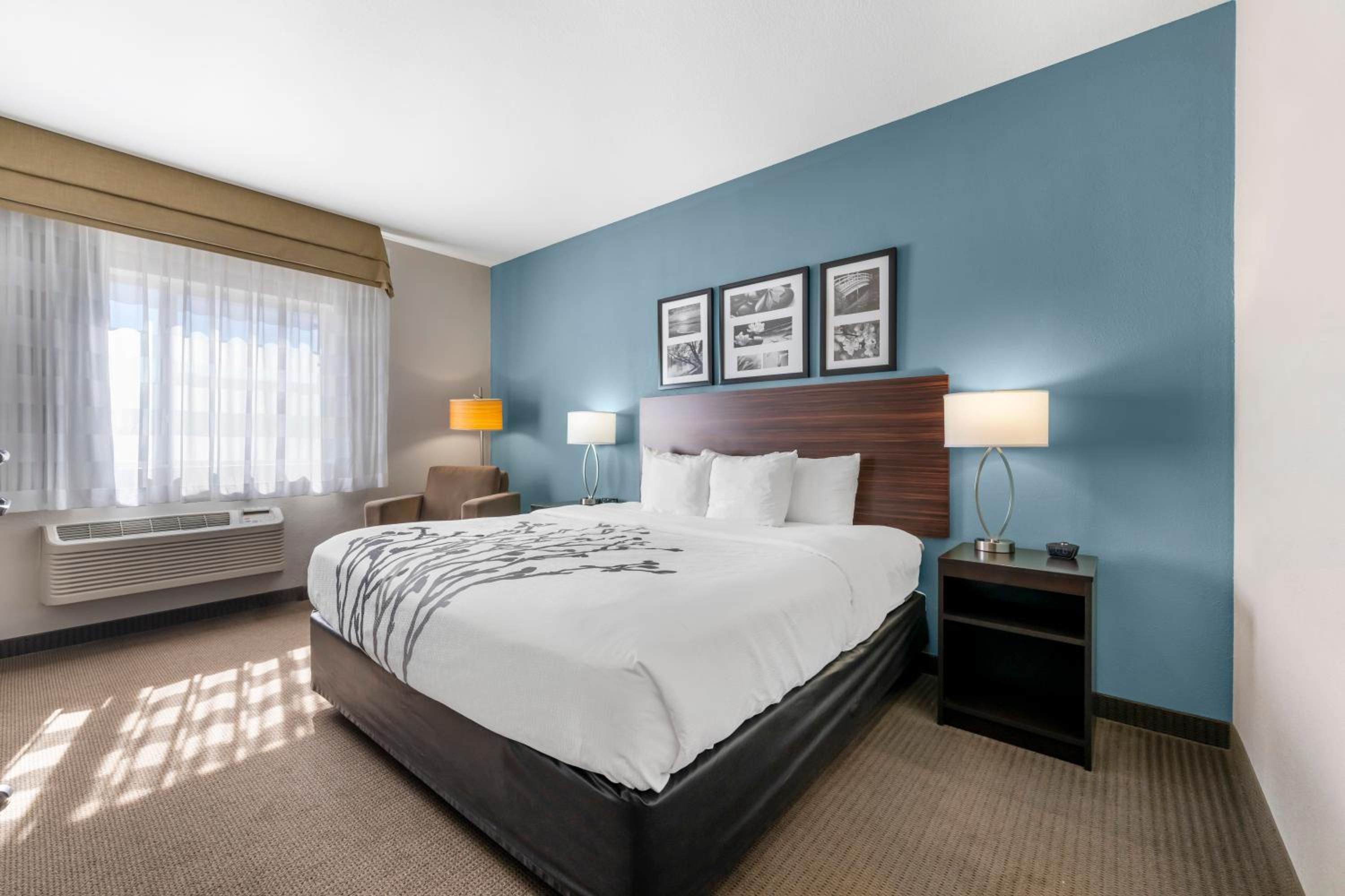 King Room - Non-Smoking - Photo 10