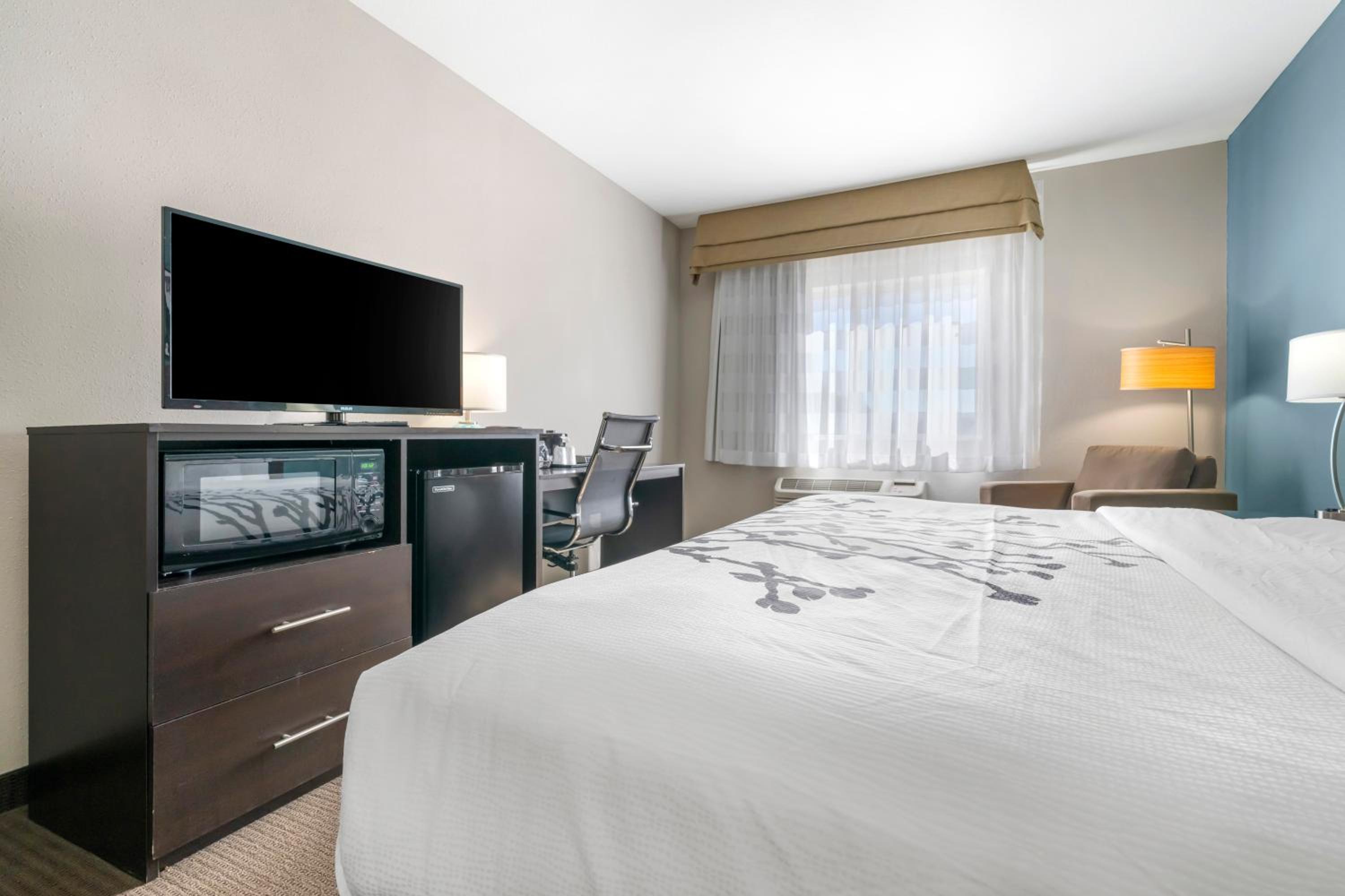 King Room - Non-Smoking - Photo 5
