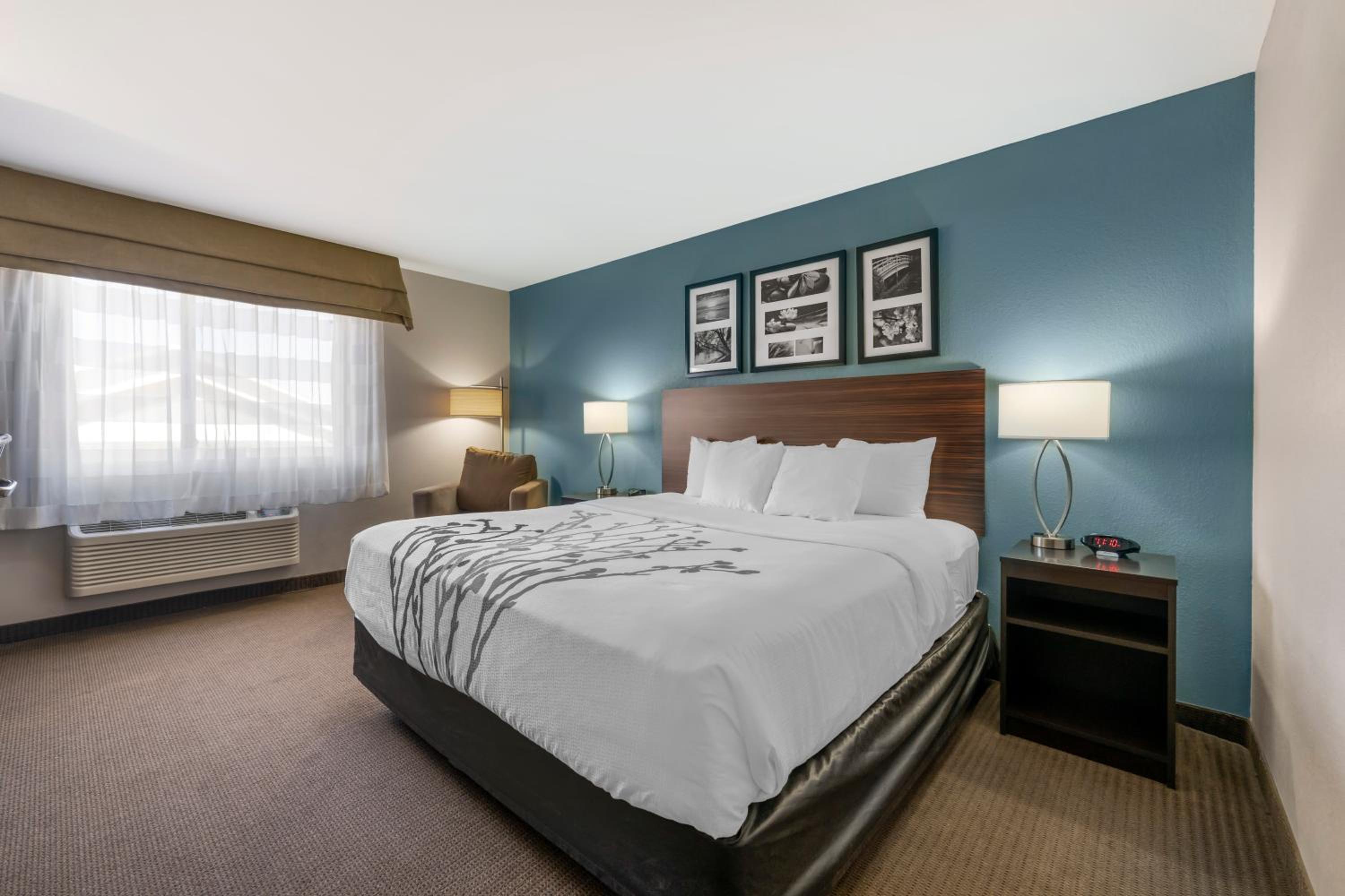 King Room - Non-Smoking - Photo 4