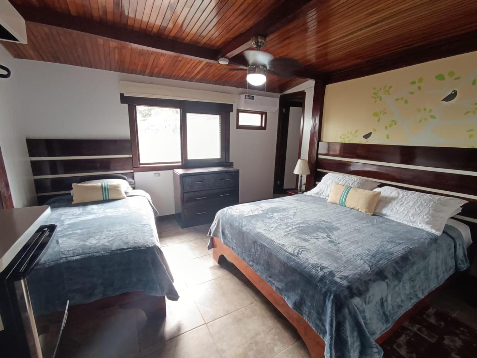 Twin Room photo 1