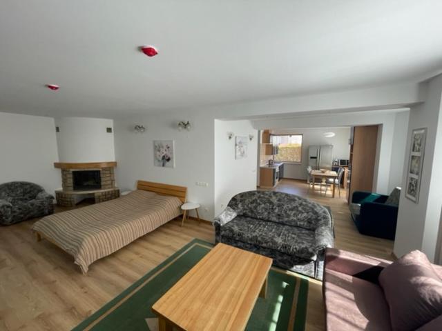 Family Room photo 3