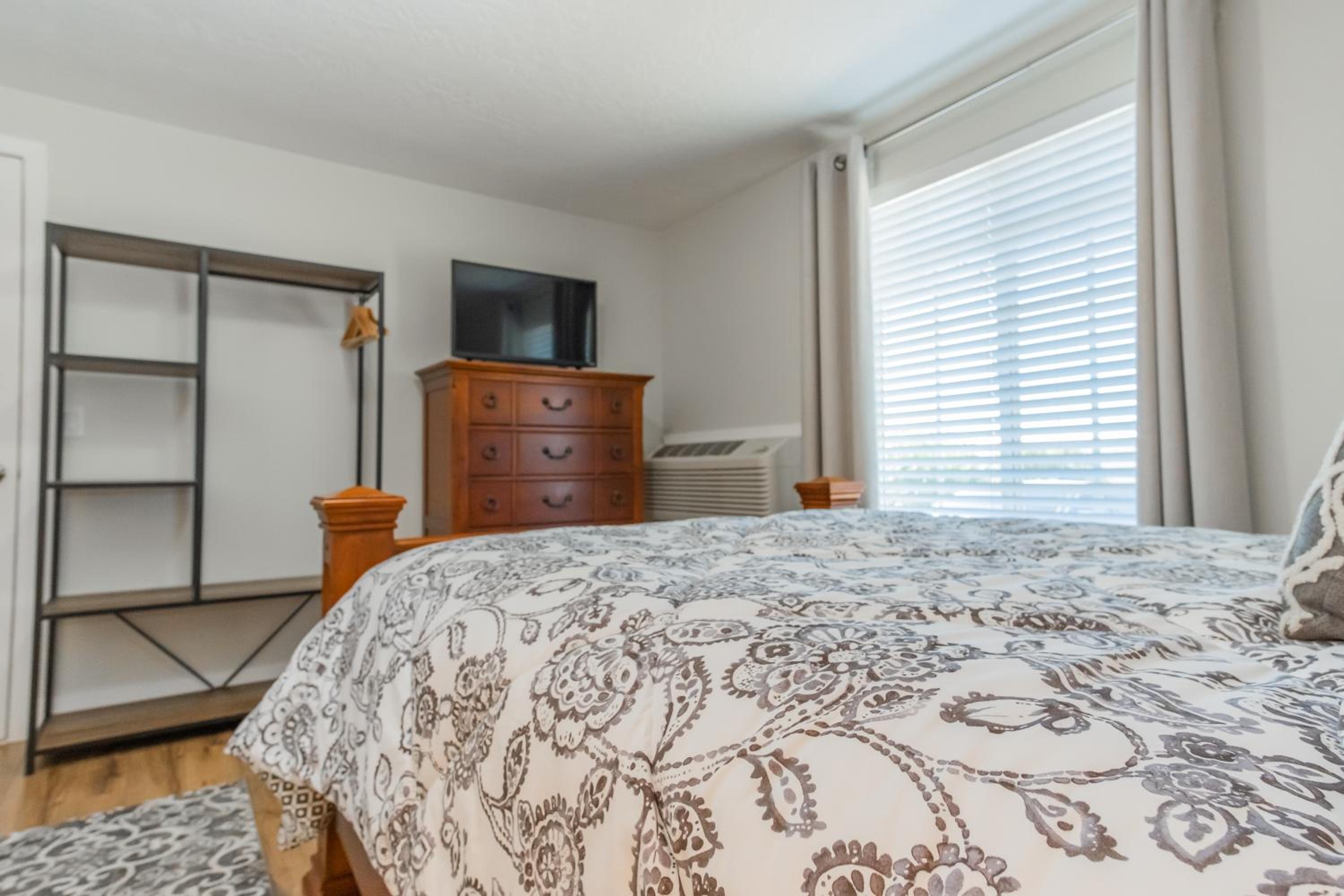 Suite - Photo 2