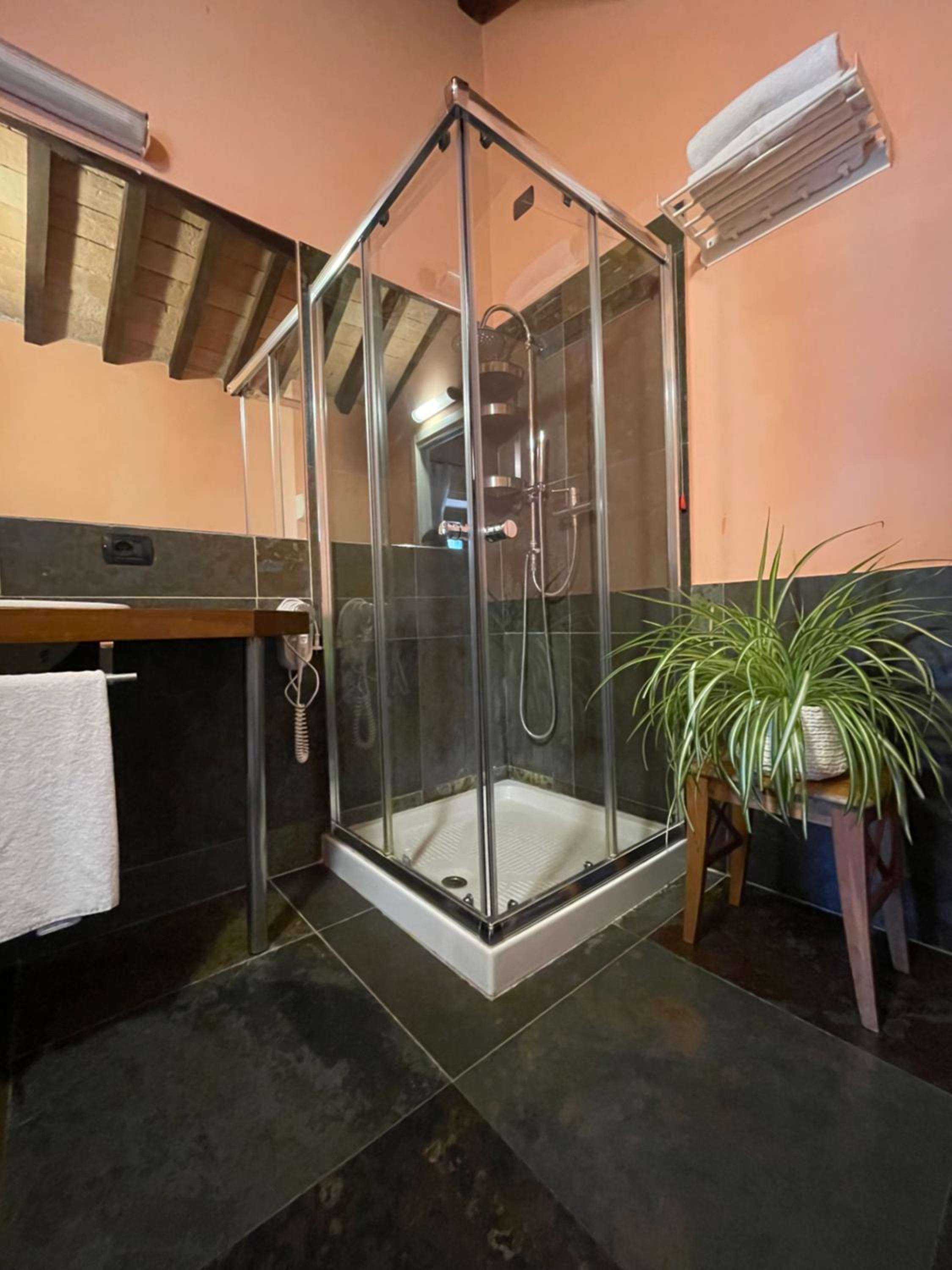 Suite with Terrace photo 3