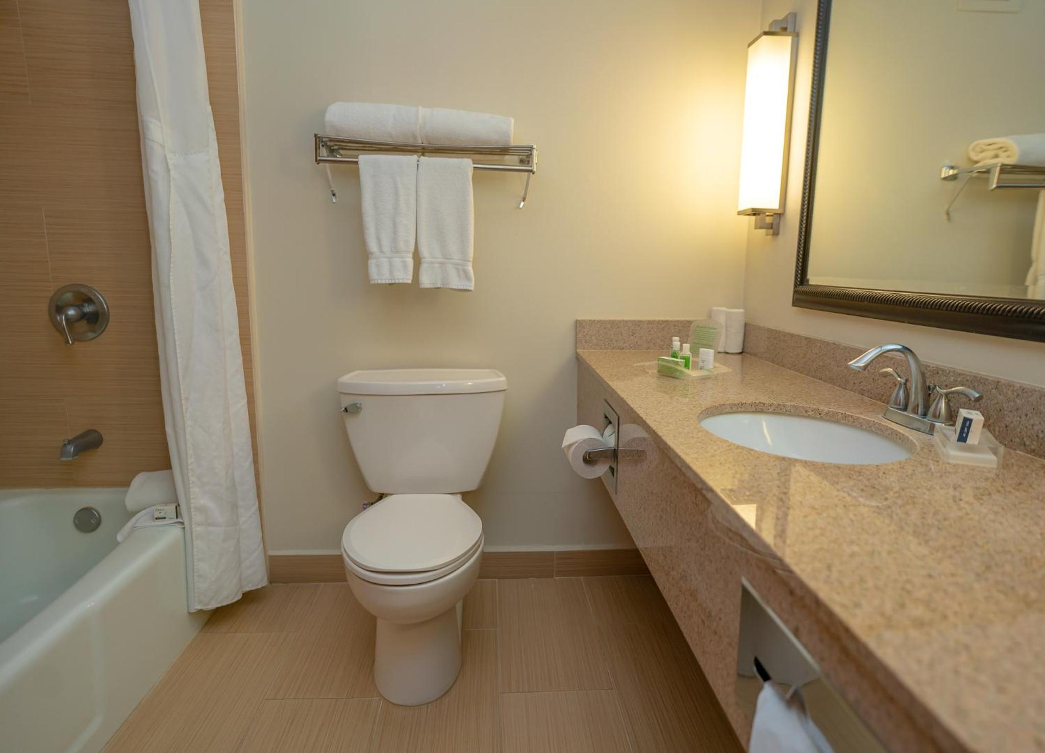One-Bedroom King Suite - Photo 2