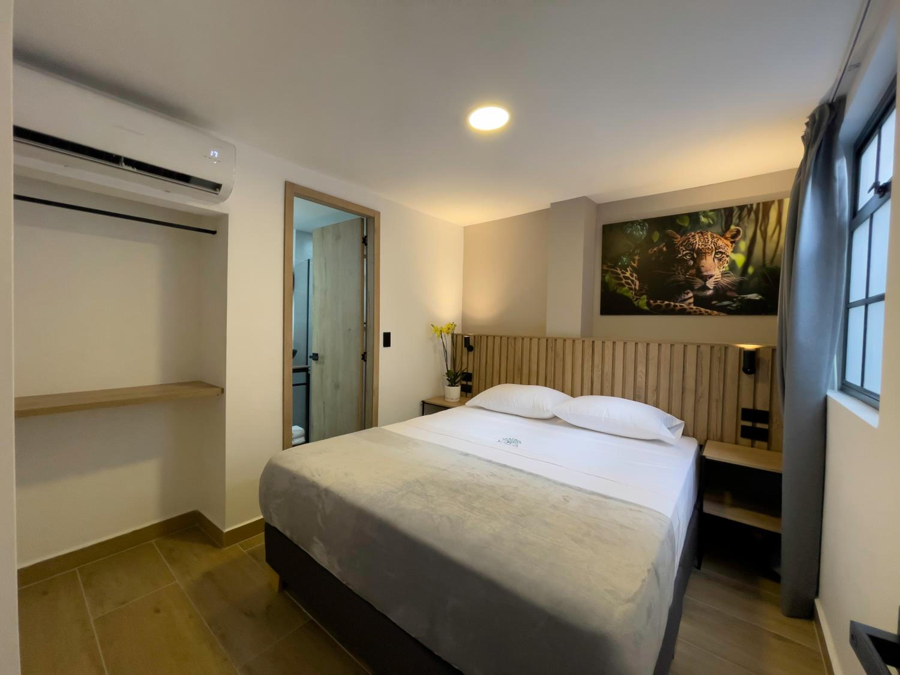 Deluxe Queen Room photo 2