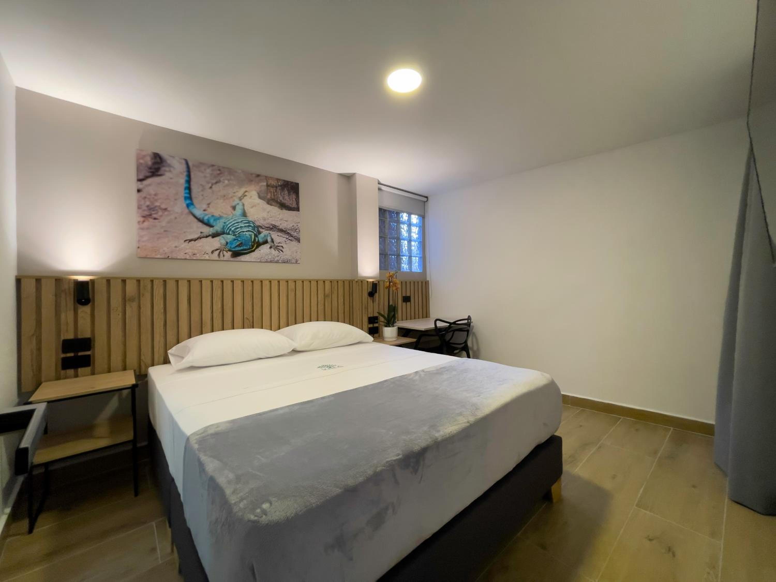 Deluxe Queen Room photo 1