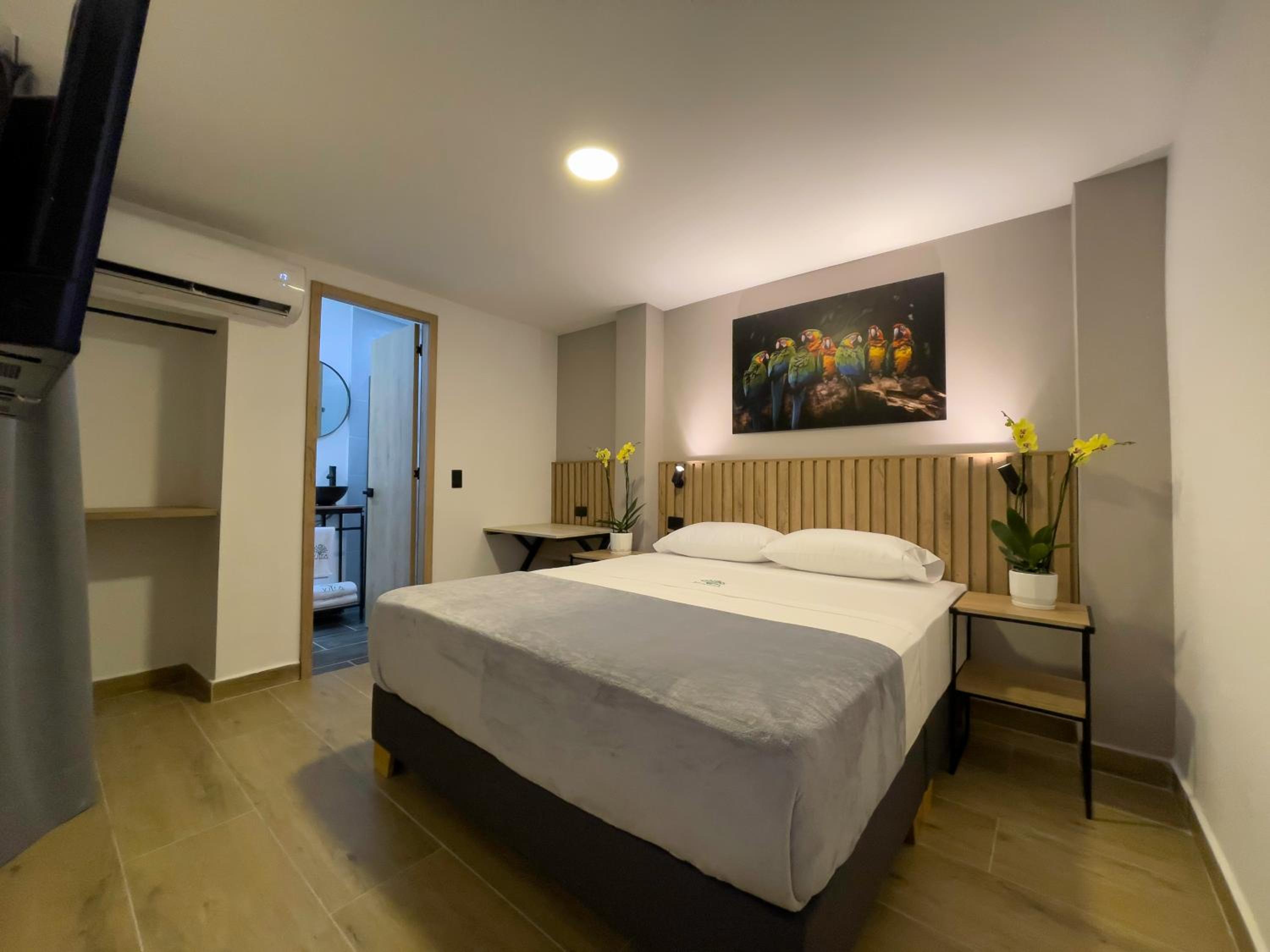 Deluxe Queen Room photo 1