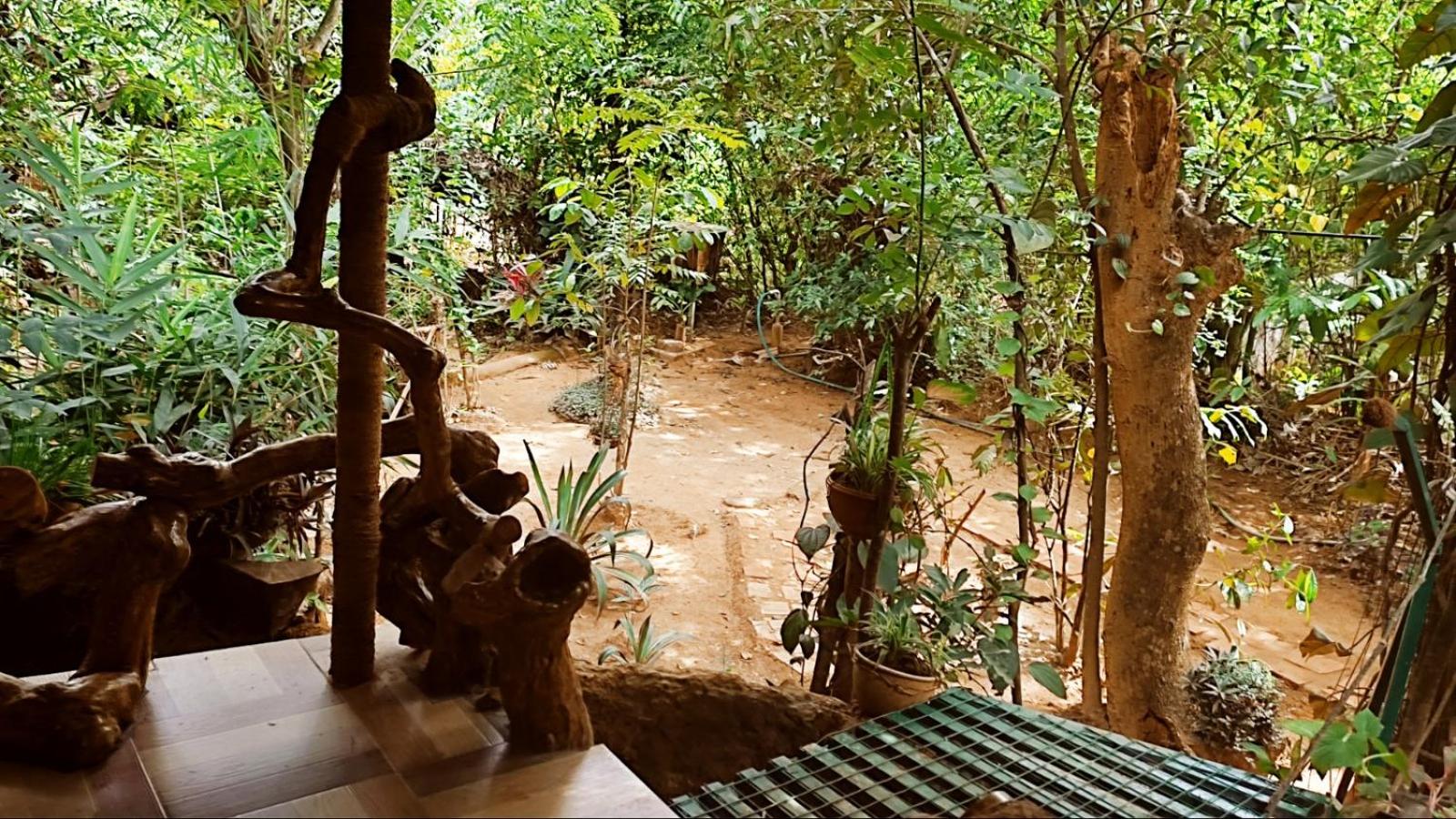 Double Room with Garden View photo 3